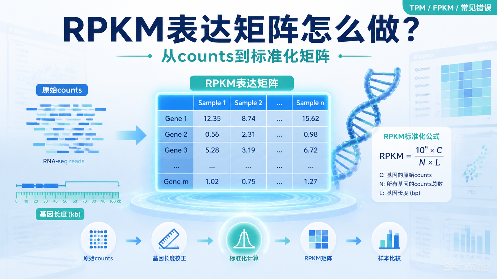 RPKM表达矩阵怎么构建？5步搞定