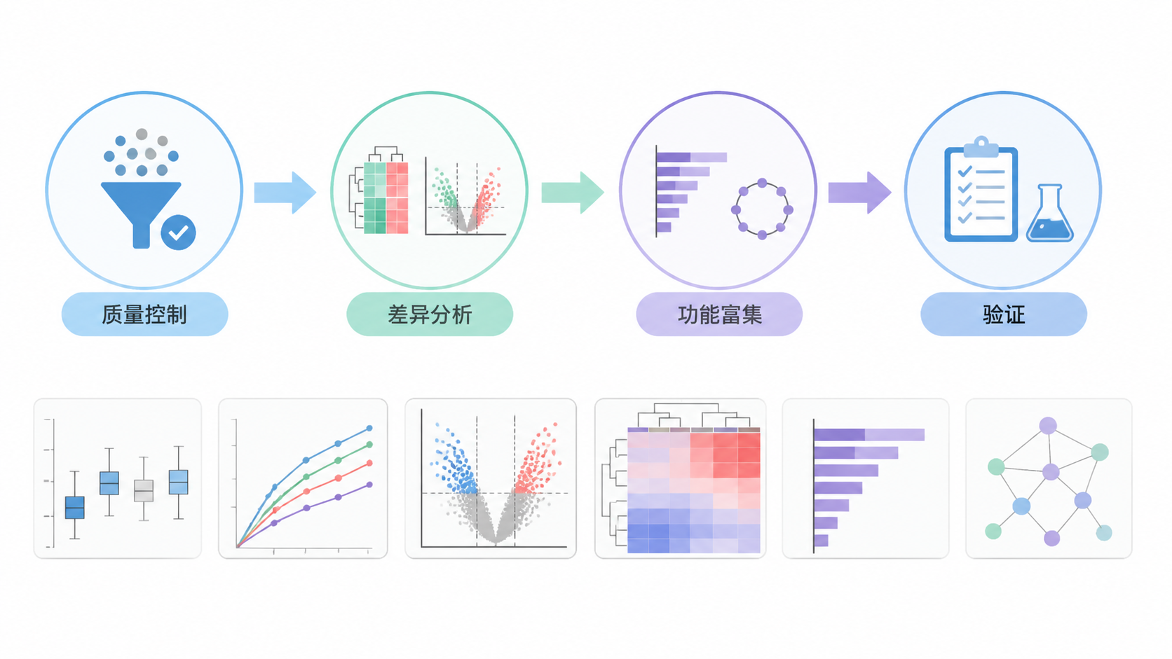 一张清晰的科研流程图，展示“质量控制-差异分析-功能富集-验证”的完整路径，旁边有简洁的论文图表和数据可视化界面。