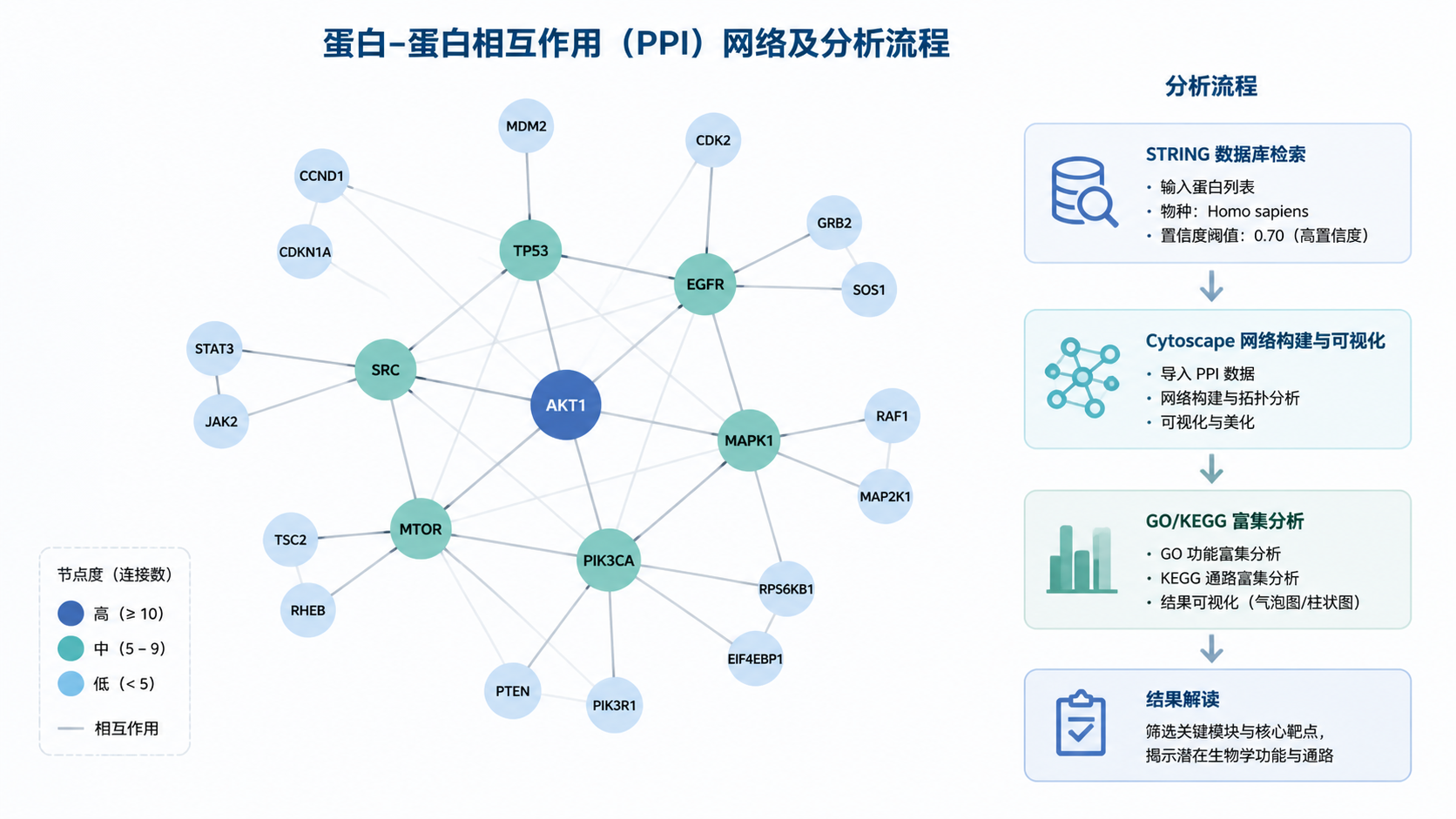一张整洁的论文级PPI网络图示意，旁边配有STRING、Cytoscape、GO/KEGG分析流程图，突出科研应用场景