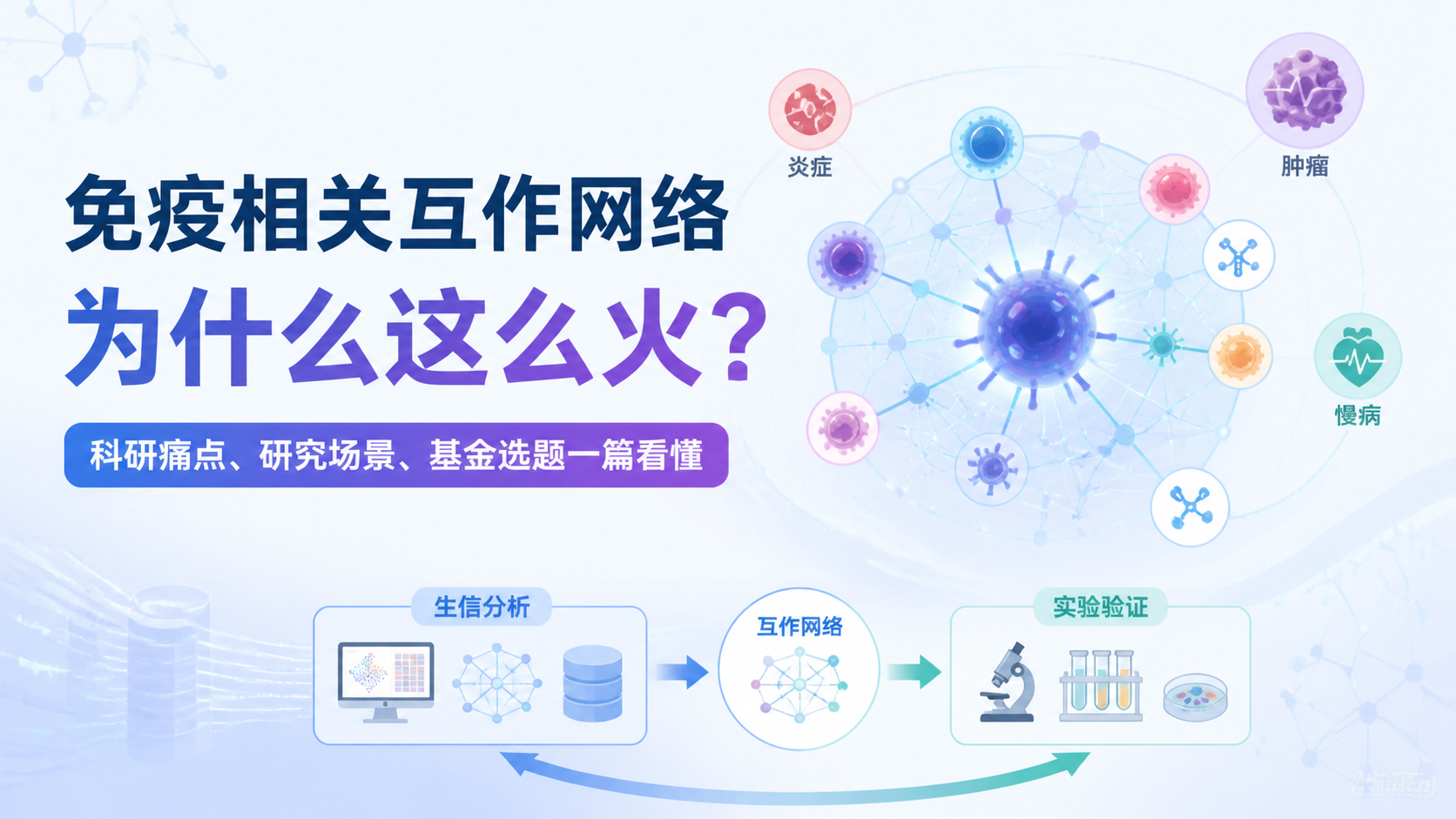 免疫相关互作网络为何成为热点？4点说清