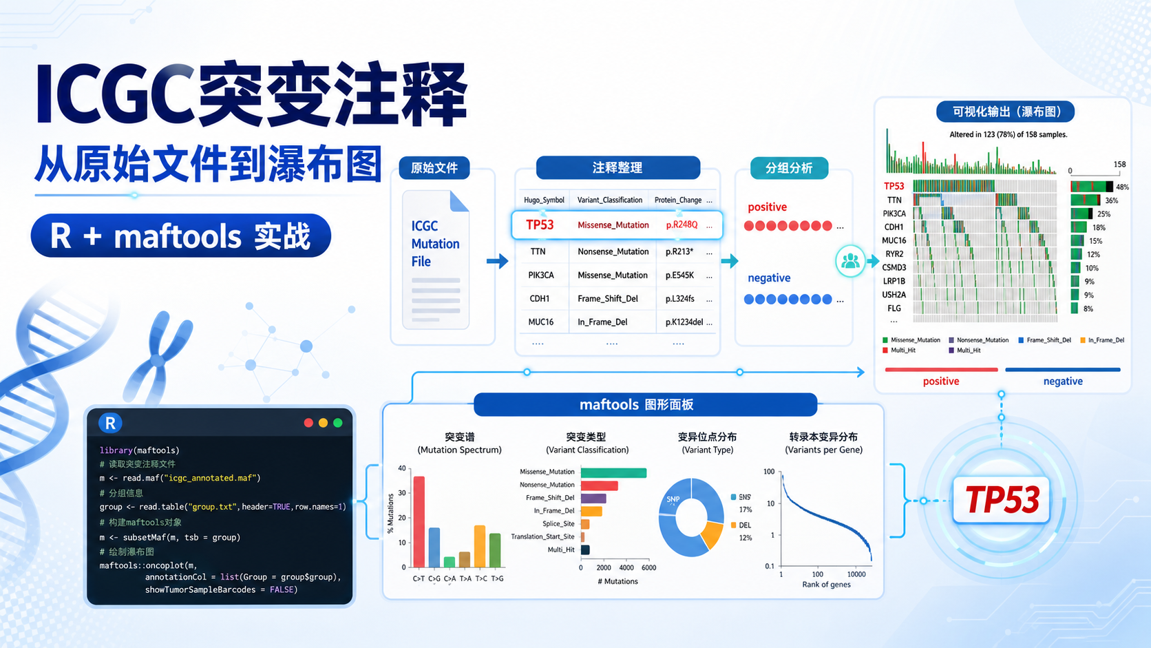ICGC数据注释怎么做？5步详解