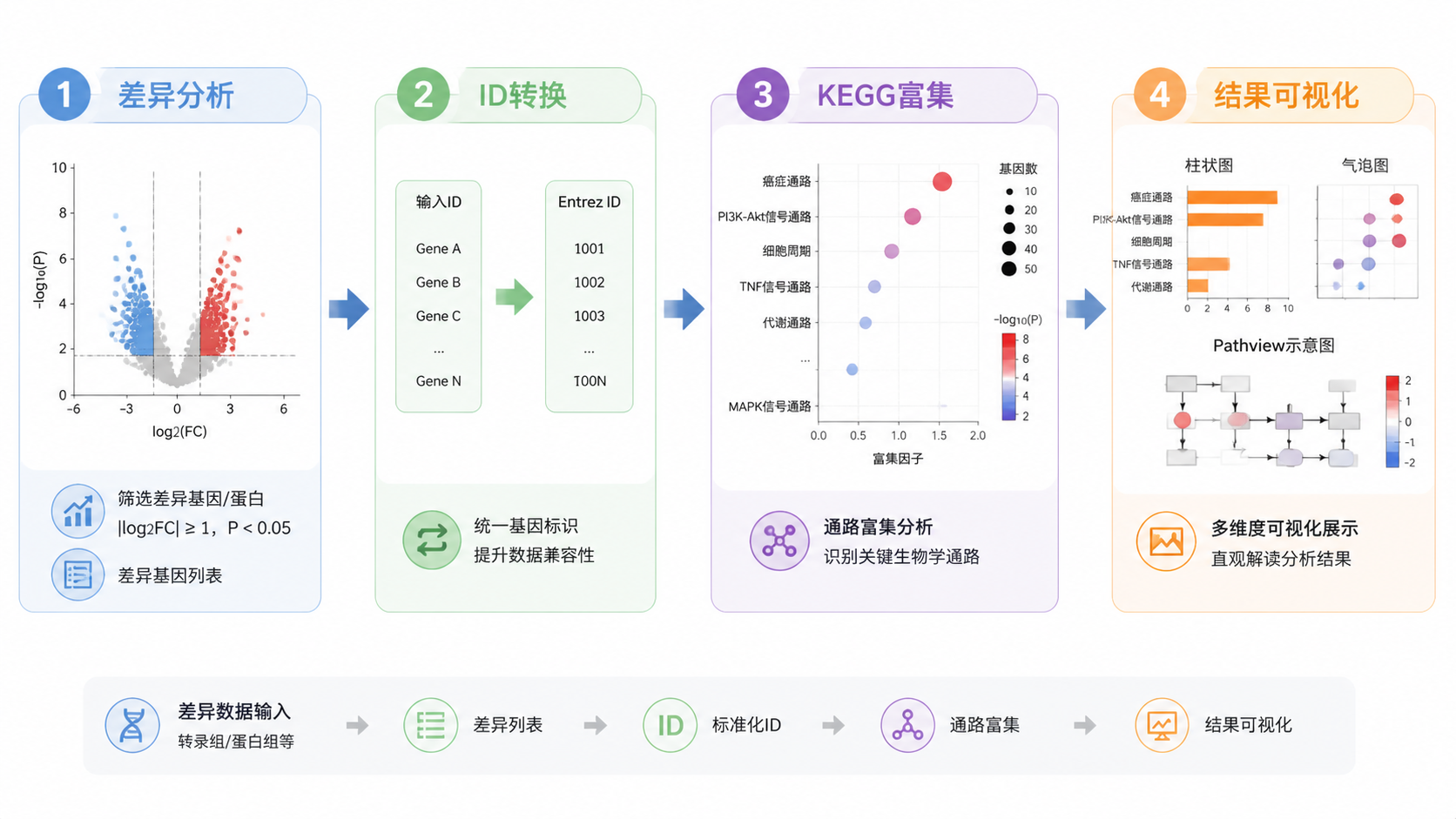 一张整洁的科研分析流程图，从差异分析、ID转换、KEGG富集到柱状图、气泡图和pathview结果，突出“标准流程+可视化输出”。