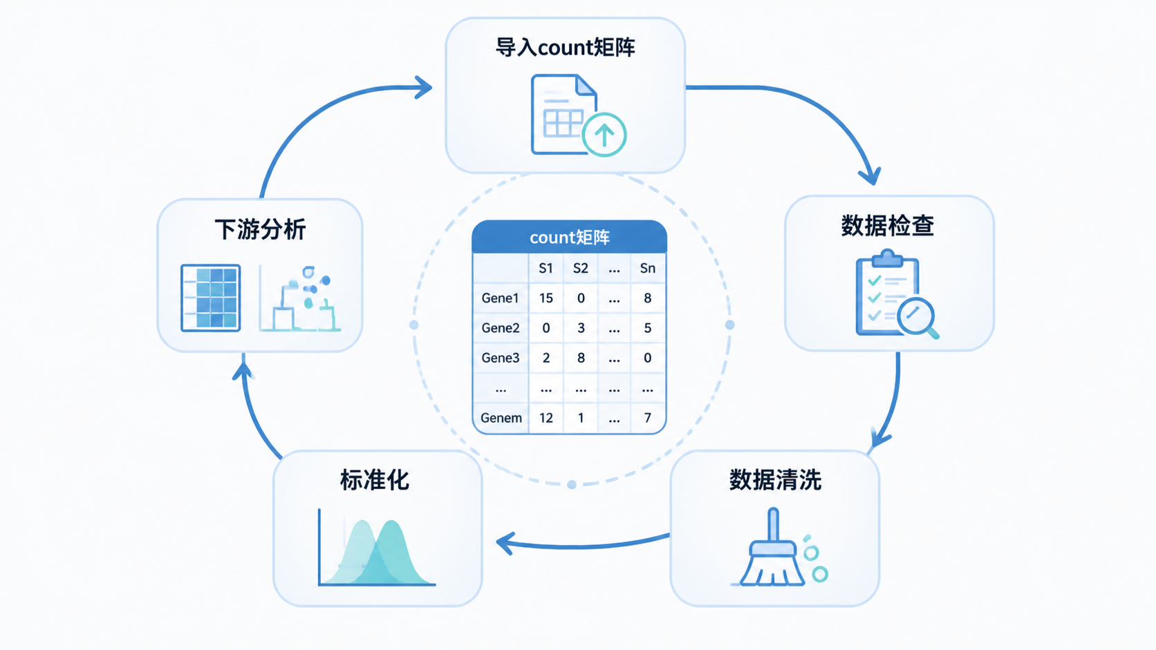 一张“导入count矩阵到分析流程”的闭环图，展示数据检查、清洗、标准化和下游分析的顺序。