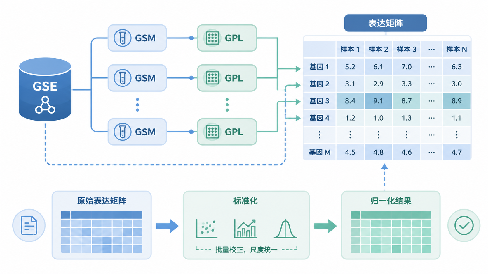 GEO数据库结构示意图，展示GSE、GSM、GPL与表达矩阵之间的关系，配合数据标准化流程图。