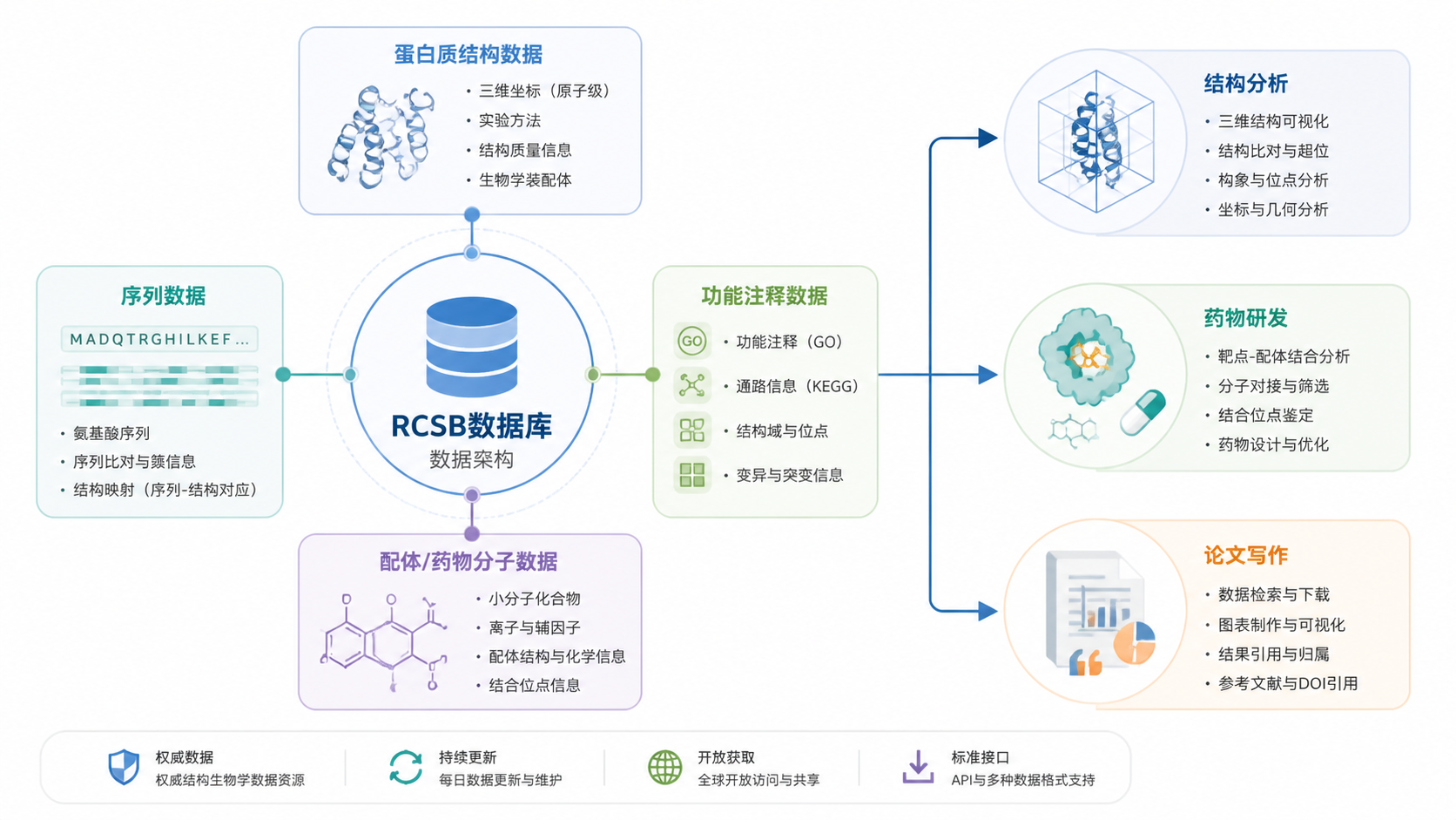 一张整洁的信息图,展示RCSB数据库的四类数据模块,连接到结构分析、药物研发和论文写作三个应用场景。