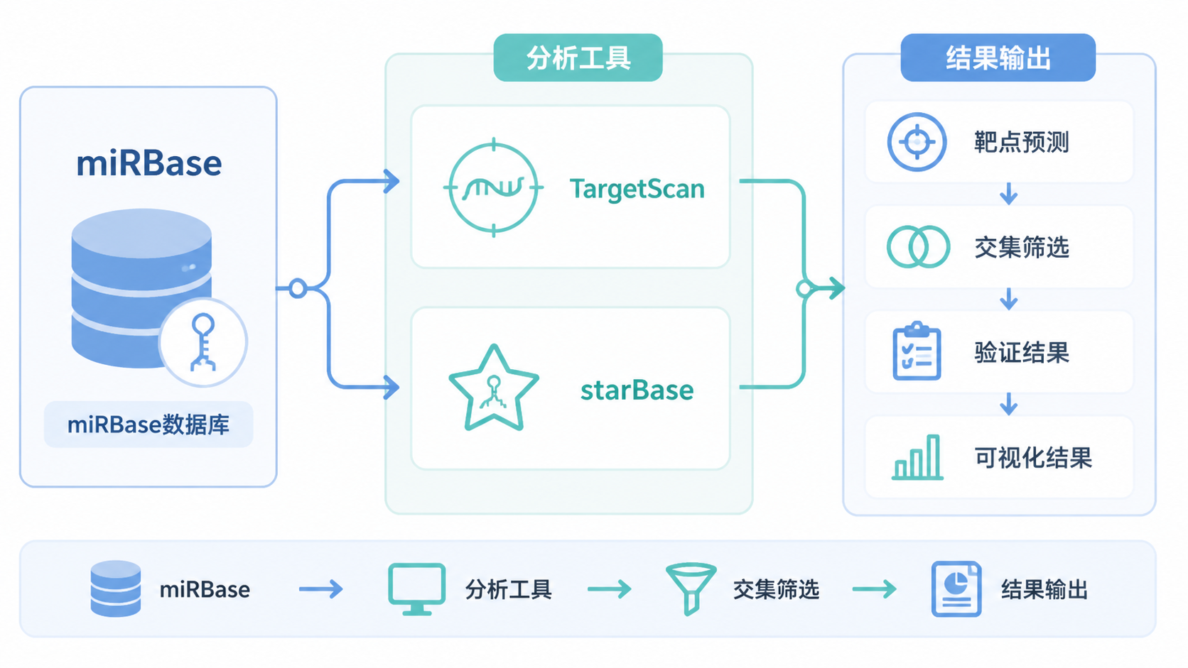 miRBase数据库与TargetScan、starBase等工具联动的流程图。