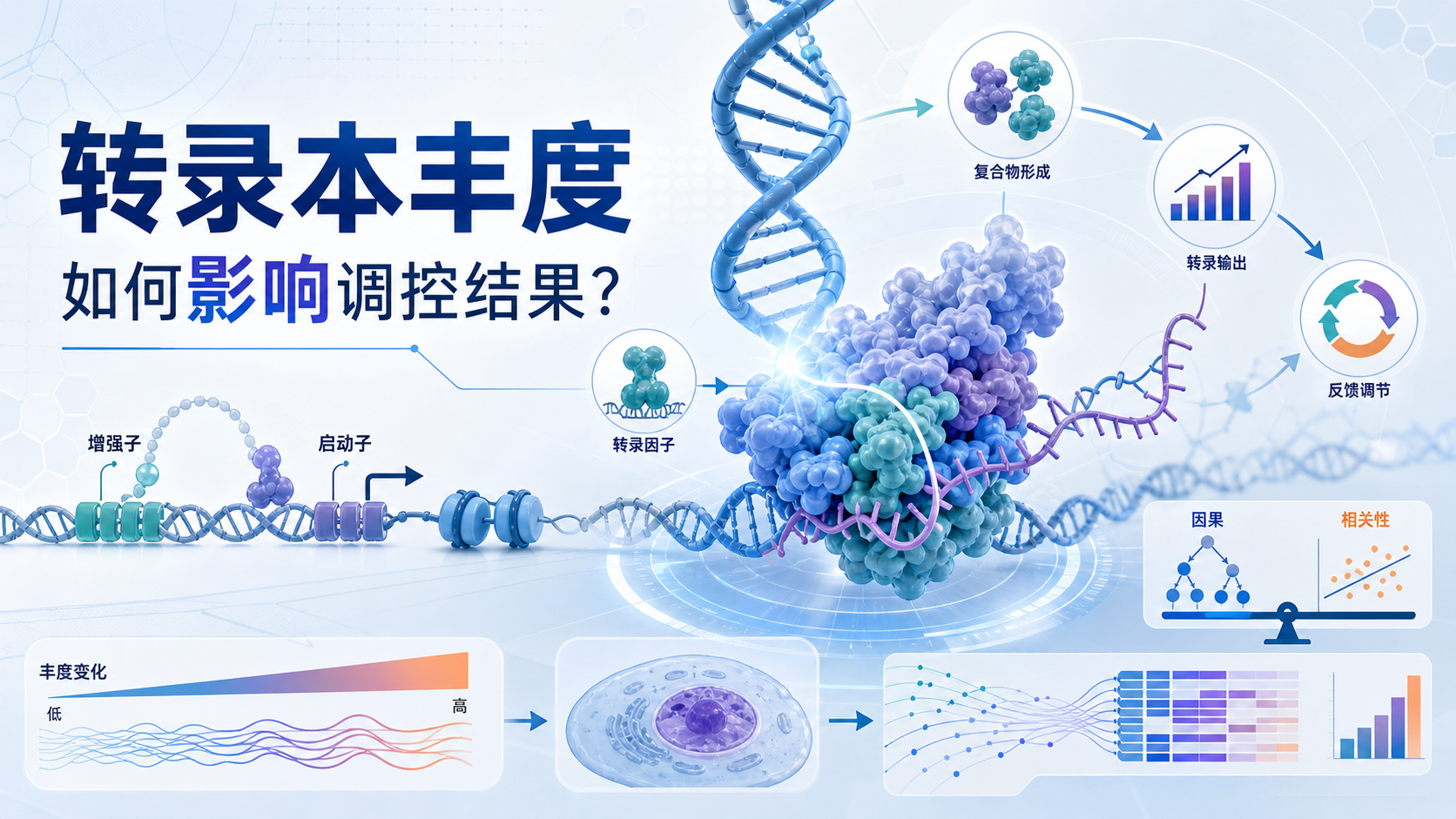 转录本丰度与基因表达调控机制