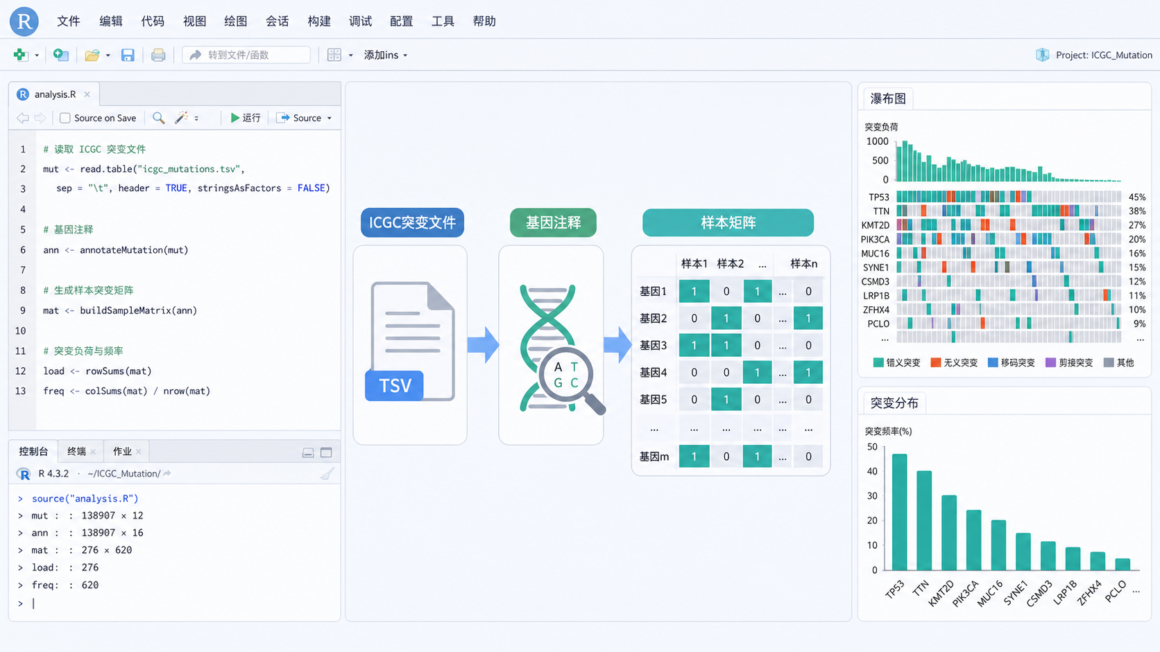 RStudio中读取ICGC突变文件、注释基因并生成样本矩阵的流程示意图，旁边配有瀑布图和突变分类图标