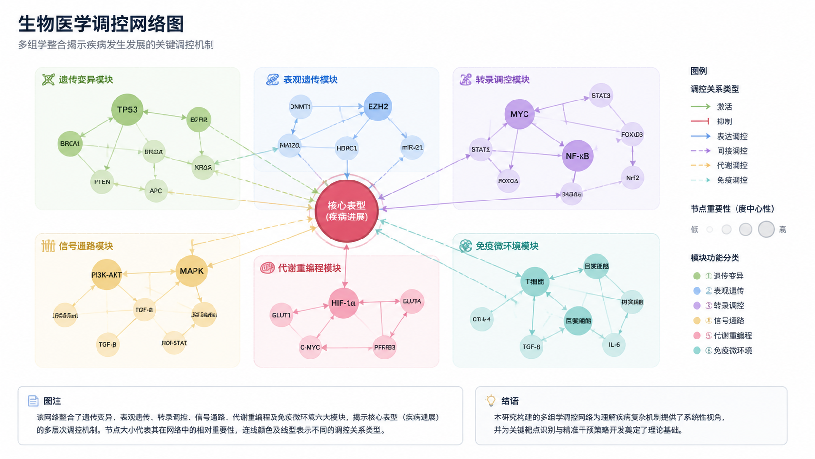 整洁美观的调控网络图成品界面，包含清晰分组、不同颜色边、大小分层的节点，以及论文排版中的图注和结果摘要