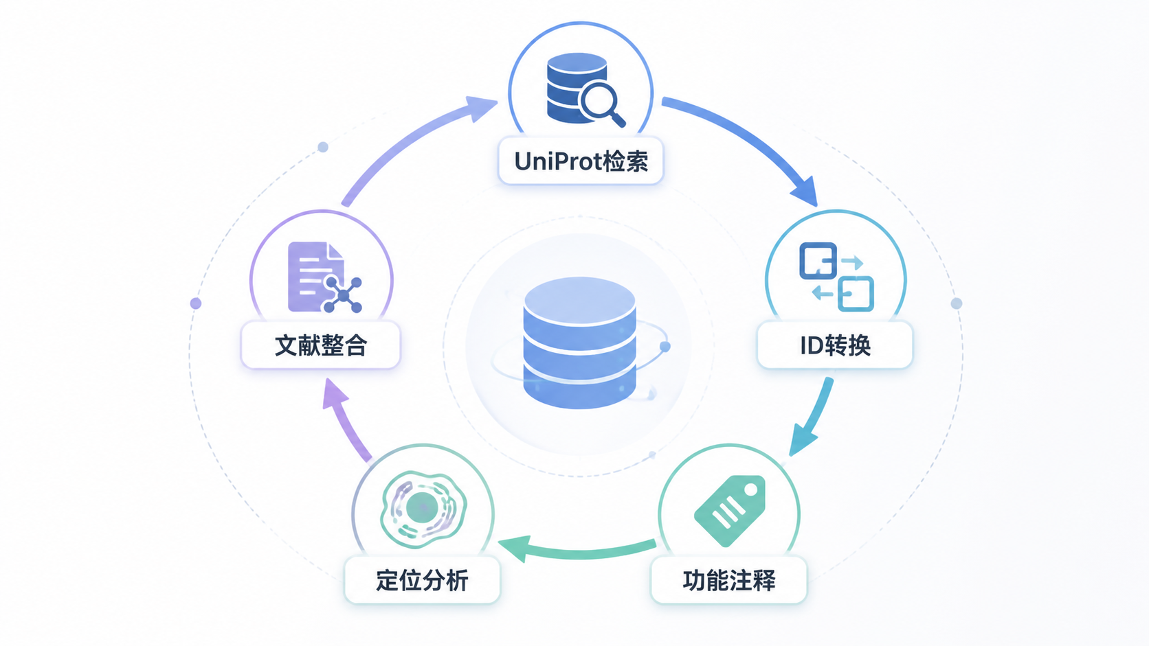 蛋白数据库工作流示意图，包含UniProt检索、ID转换、功能注释、定位分析和文献整合的闭环流程。