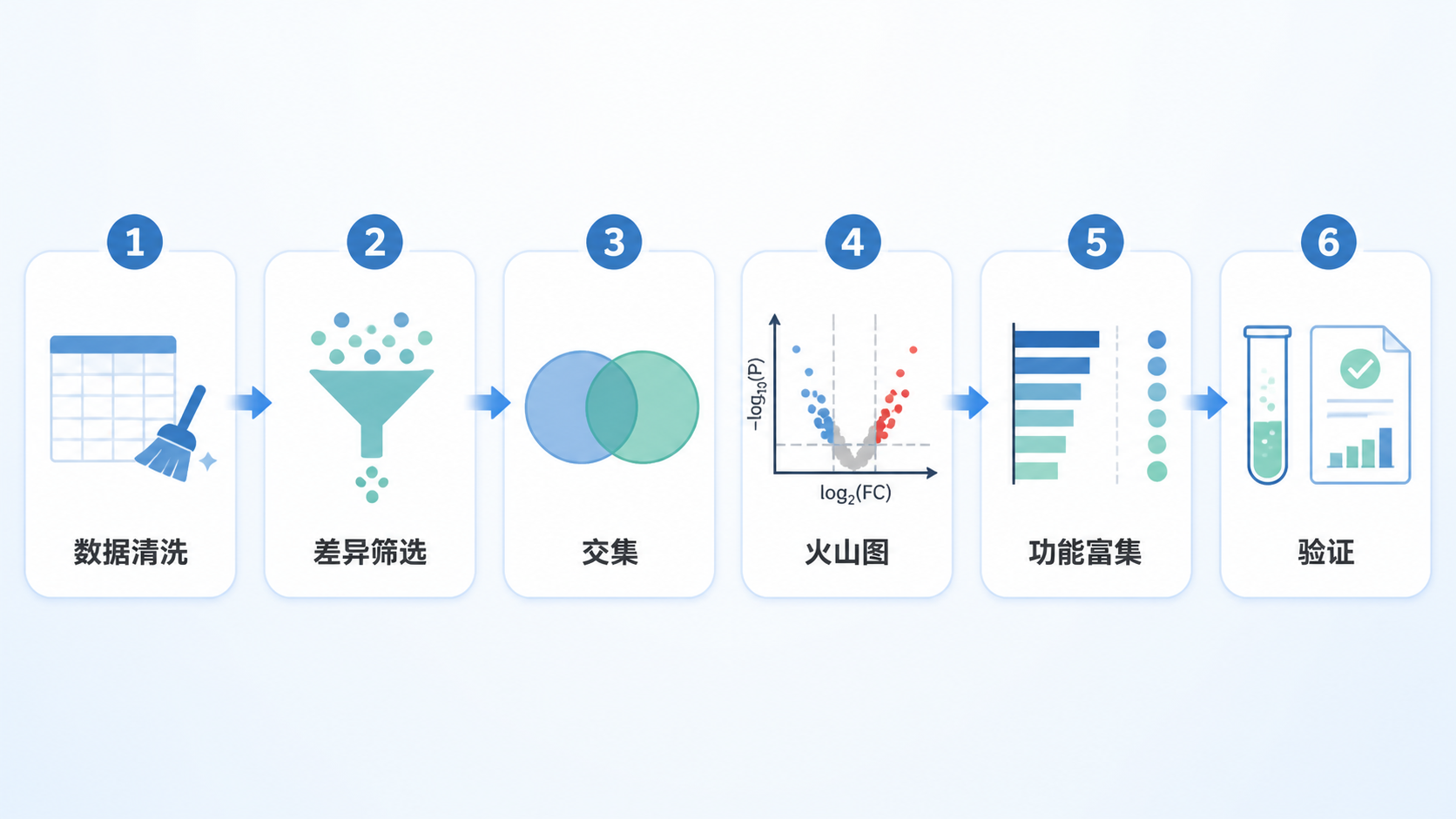 差异分析流程图，包含数据清洗、差异筛选、交集、火山图、功能富集和验证六个步骤