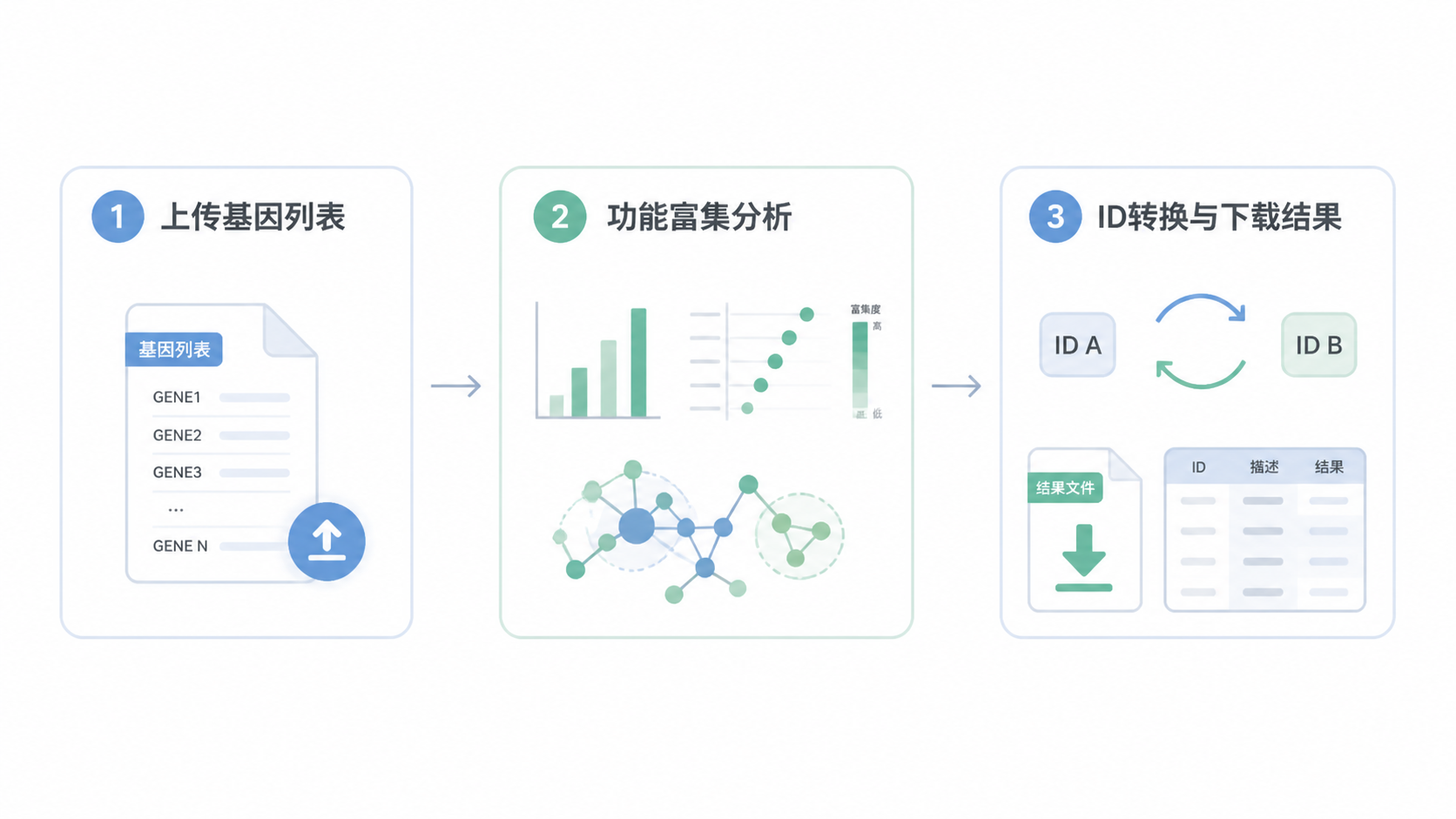 一张三步流程总结图，包含“上传基因列表”“功能富集分析”“ID转换与下载结果”三个模块，风格简洁专业。