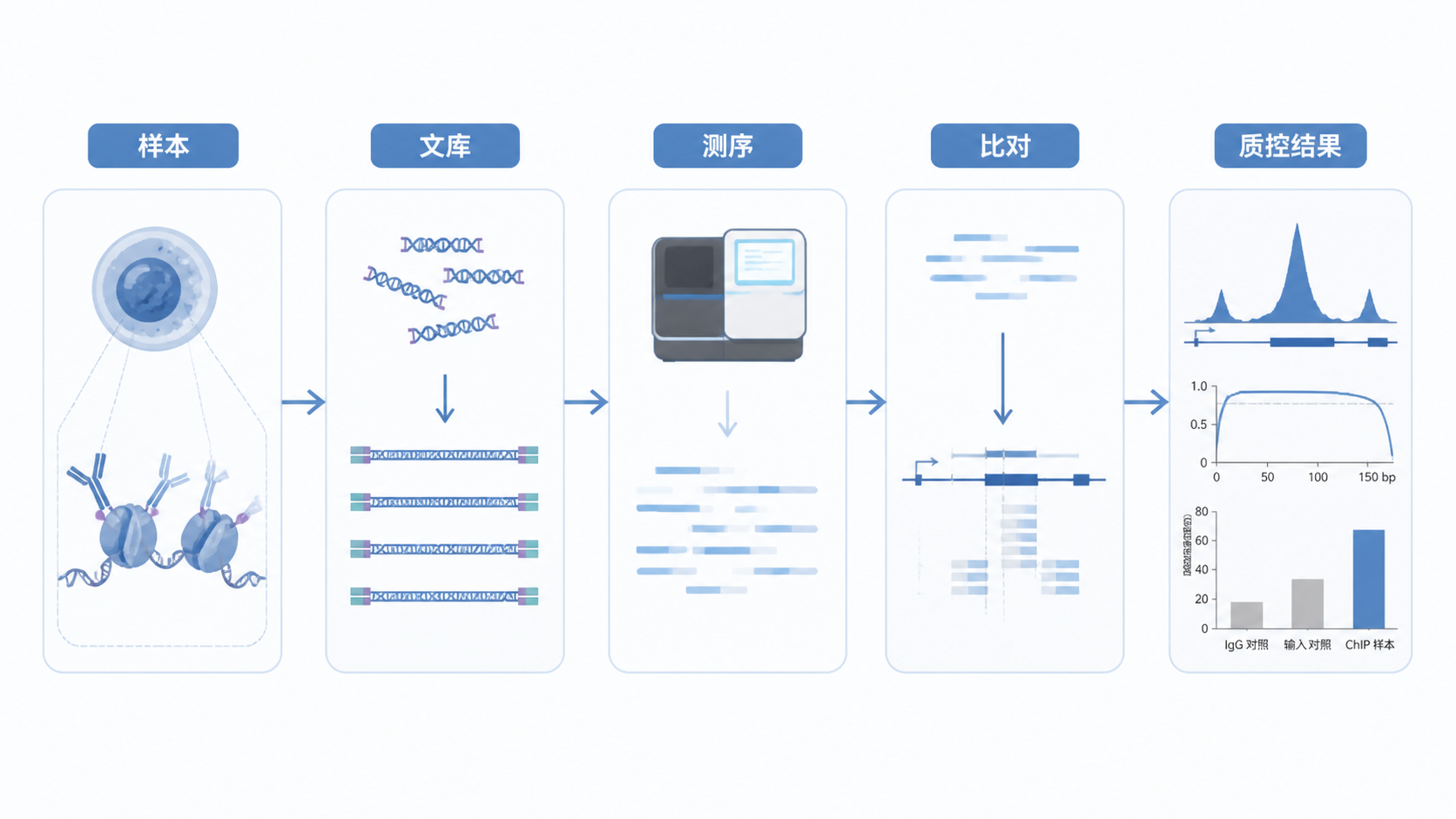 实验室中的ChIP-seq测序流程示意图,包含样本、文库、测序、比对和质控结果图标