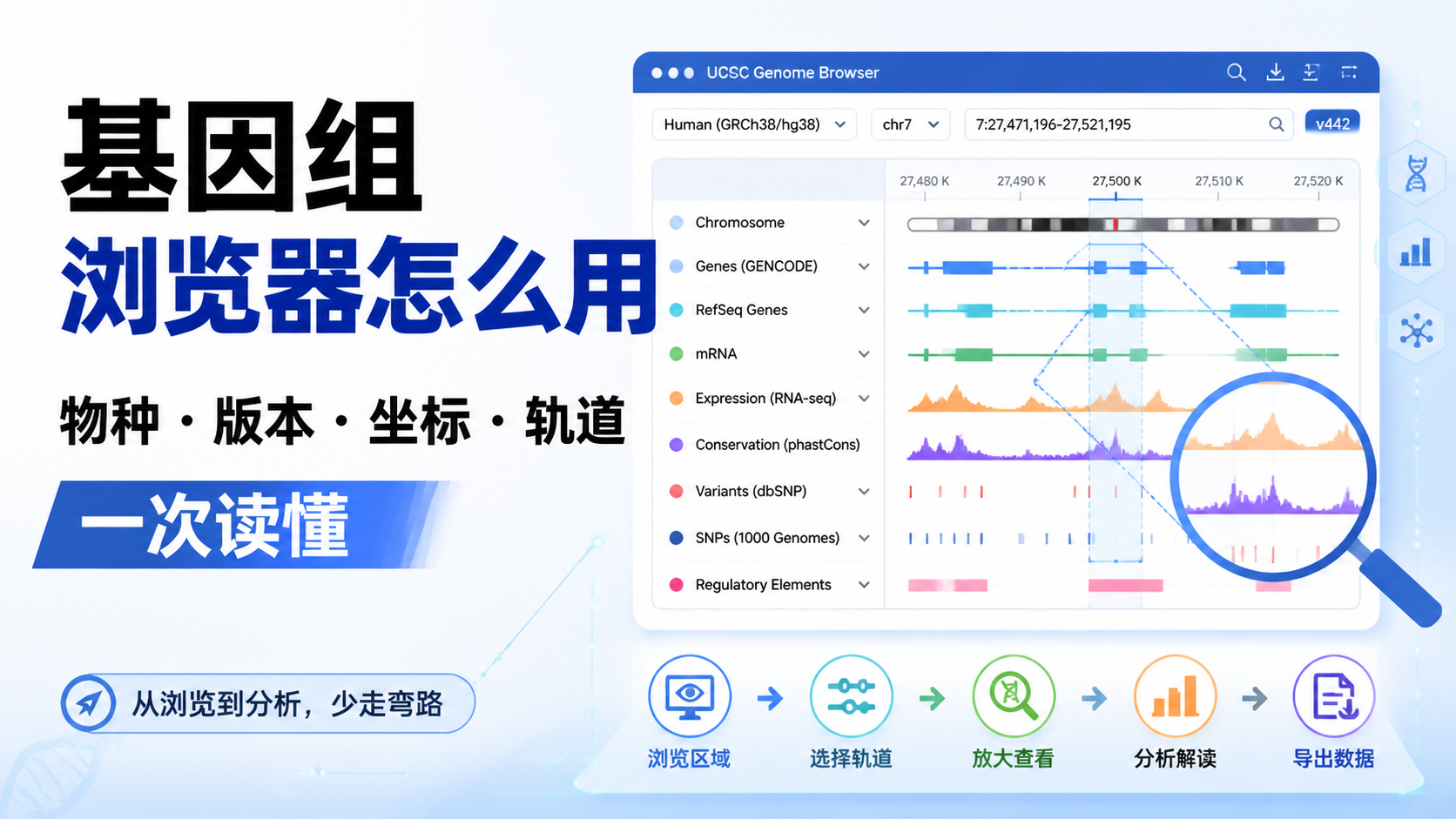 基因组浏览器数据解读：7个必看要点