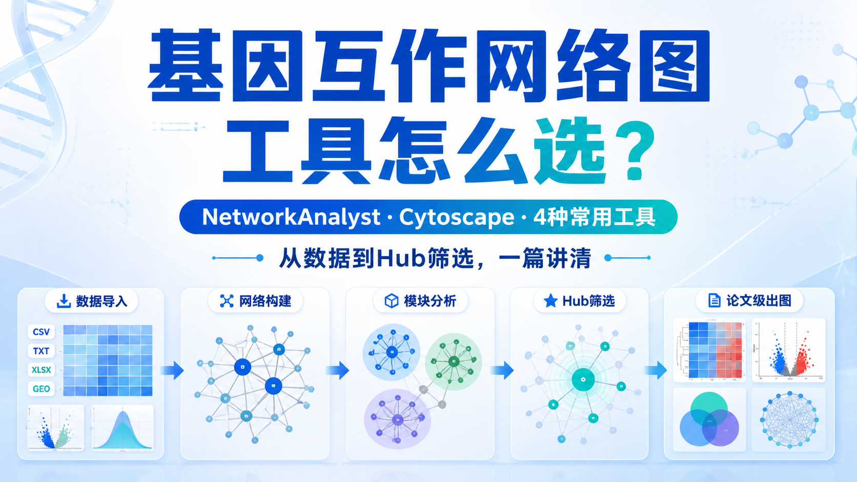 基因互作网络图实战指南：6种强效工具