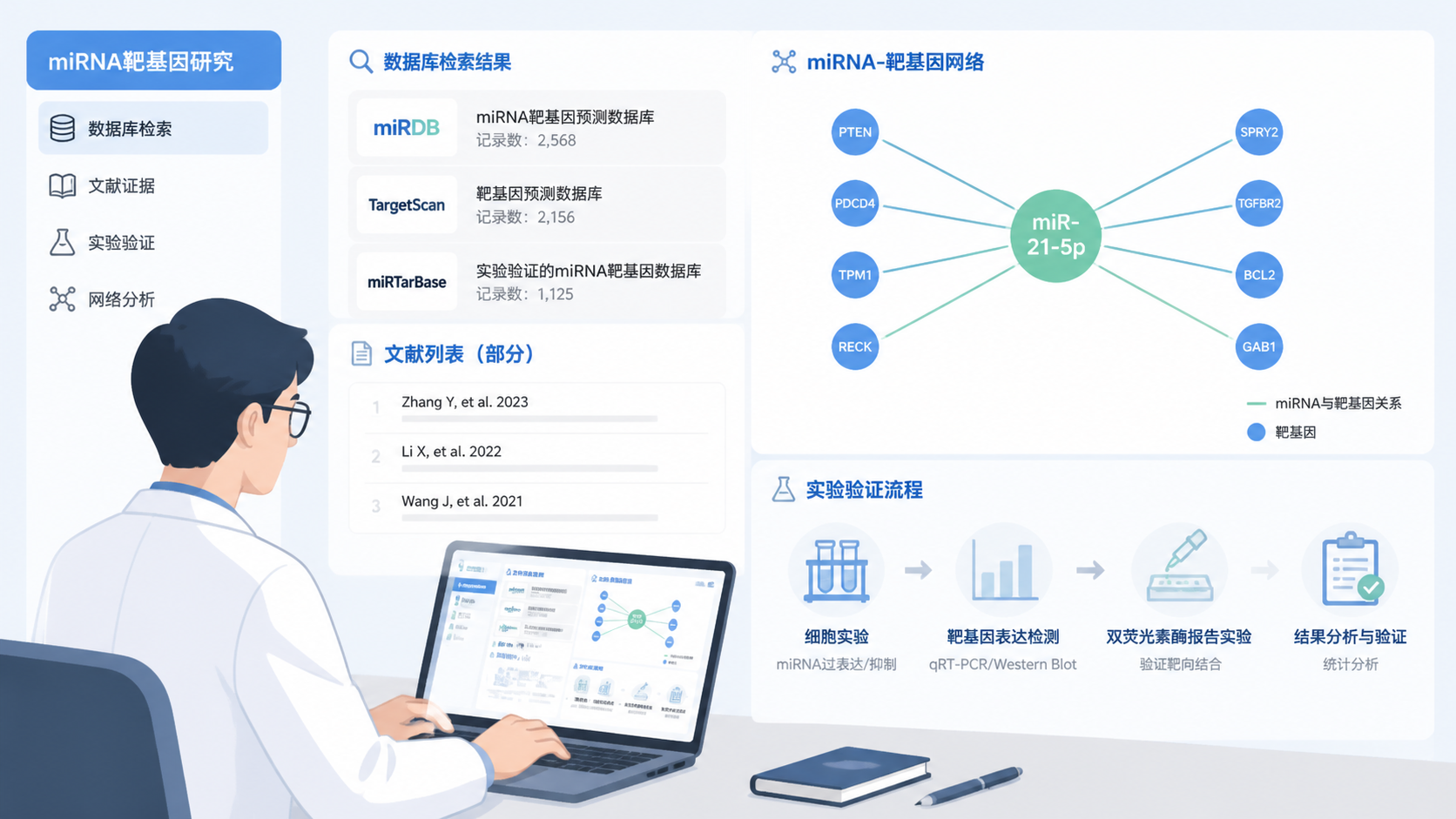 科研人员在笔记本电脑前整理miRNA靶基因网络图,屏幕上显示数据库检索结果、文献和实验验证流程,体现“从数据库到课题应用”的闭环。