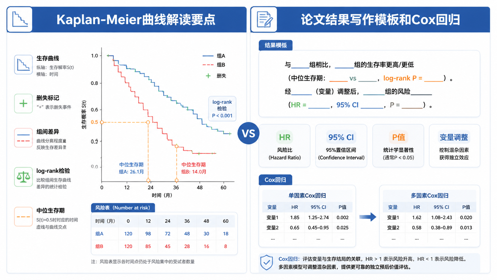一张对比式信息图，左侧为Kaplan-Meier曲线解读要点，右侧为论文结果写作模板和Cox回归衔接流程