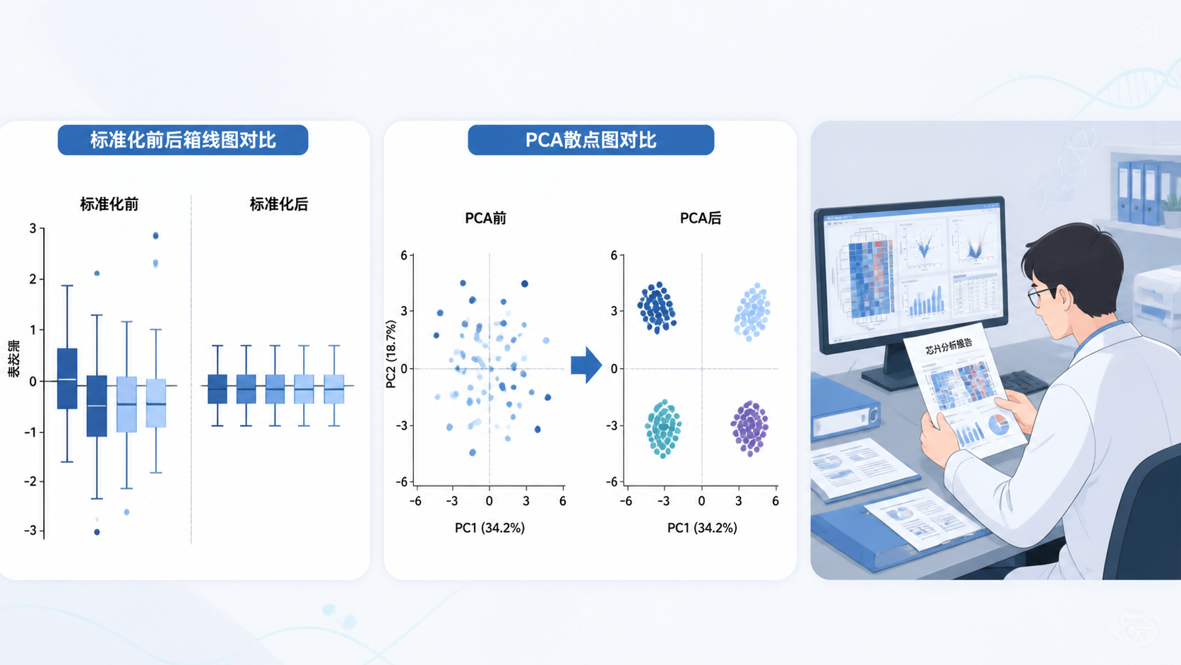 标准化前后箱线图对比、PCA散点图对比，以及一位研究者查看整理好的芯片分析报告的场景