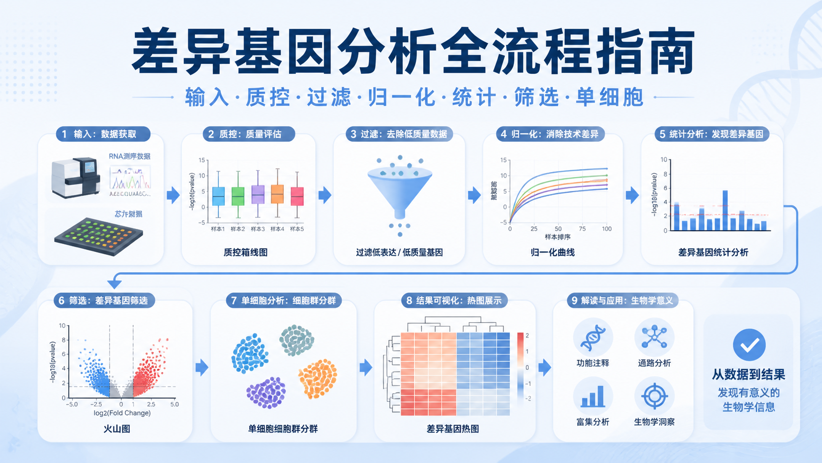 差异基因分析怎么做？7个关键点解析