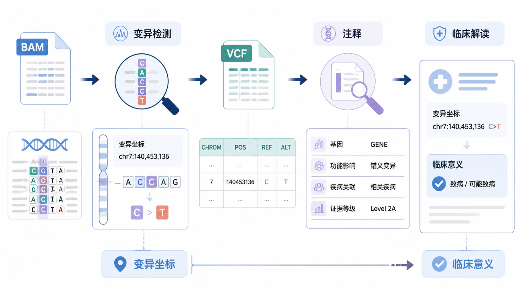 全外显子测序流程图，展示bam到VCF再到注释和临床解读的完整链路，突出“变异坐标”到“临床意义”的转化。