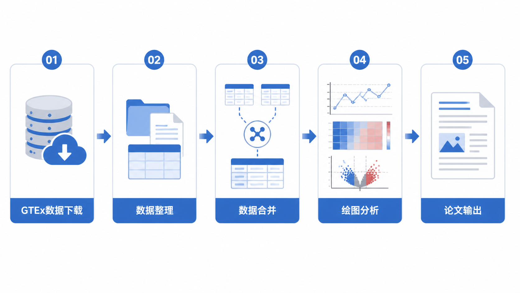 一张简洁的科研工作流图，展示GTEx数据下载、整理、合并、绘图到论文输出的完整流程