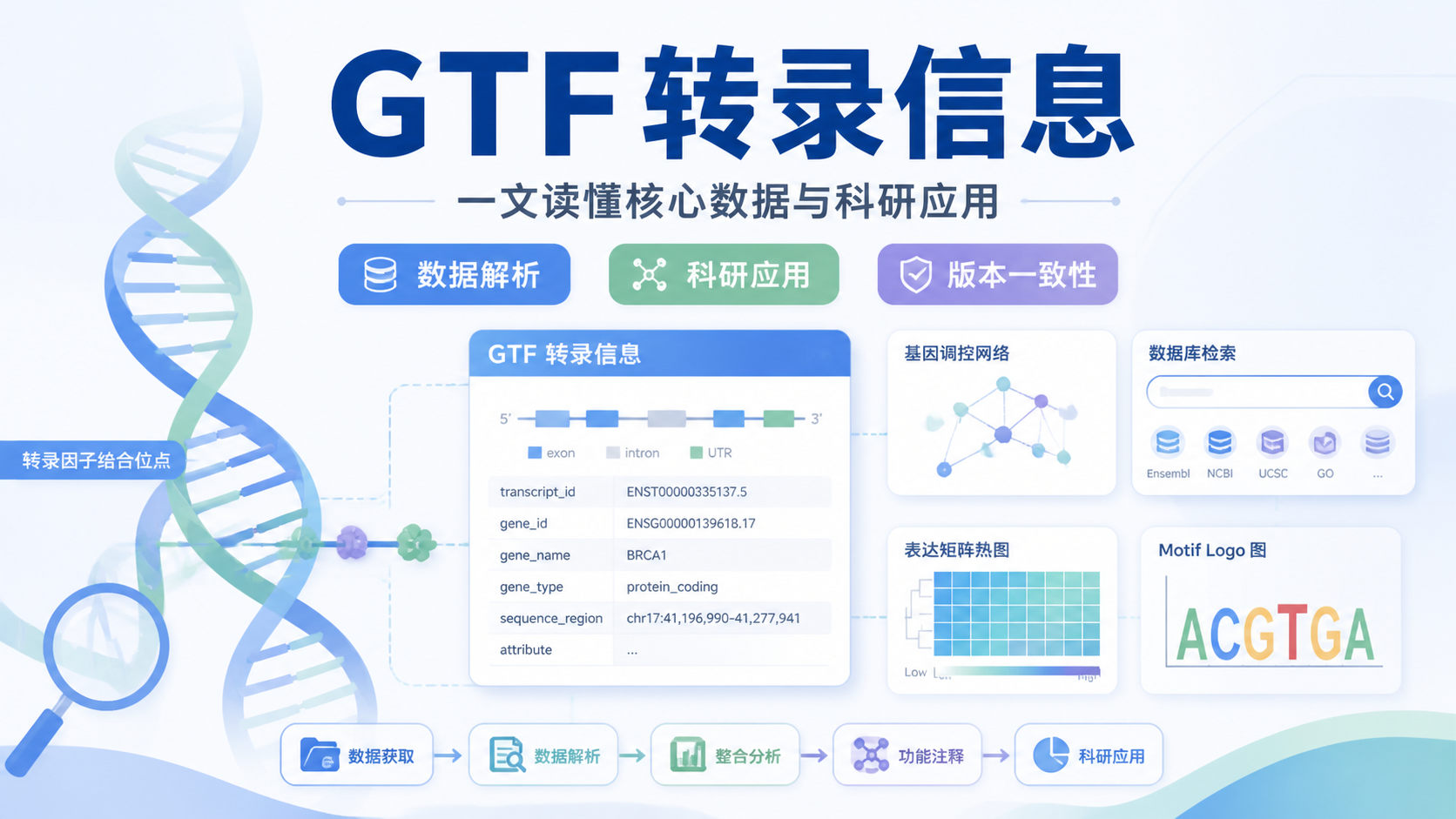 GTF转录信息是什么？5大核心解析