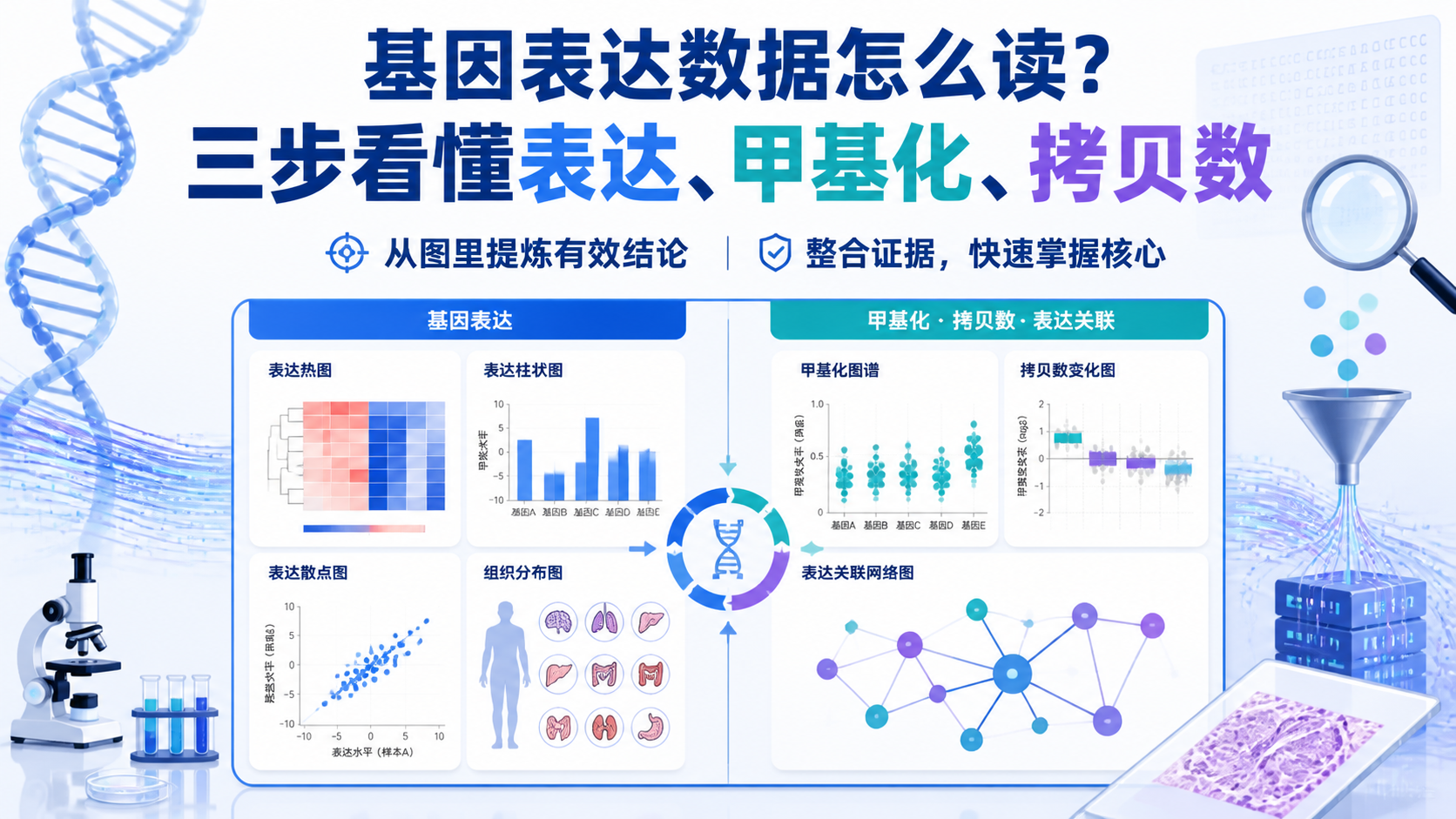 基因表达数据解读：3步掌握核心？