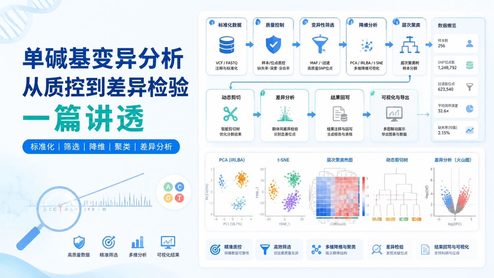 单碱基变异数据如何精准分析？