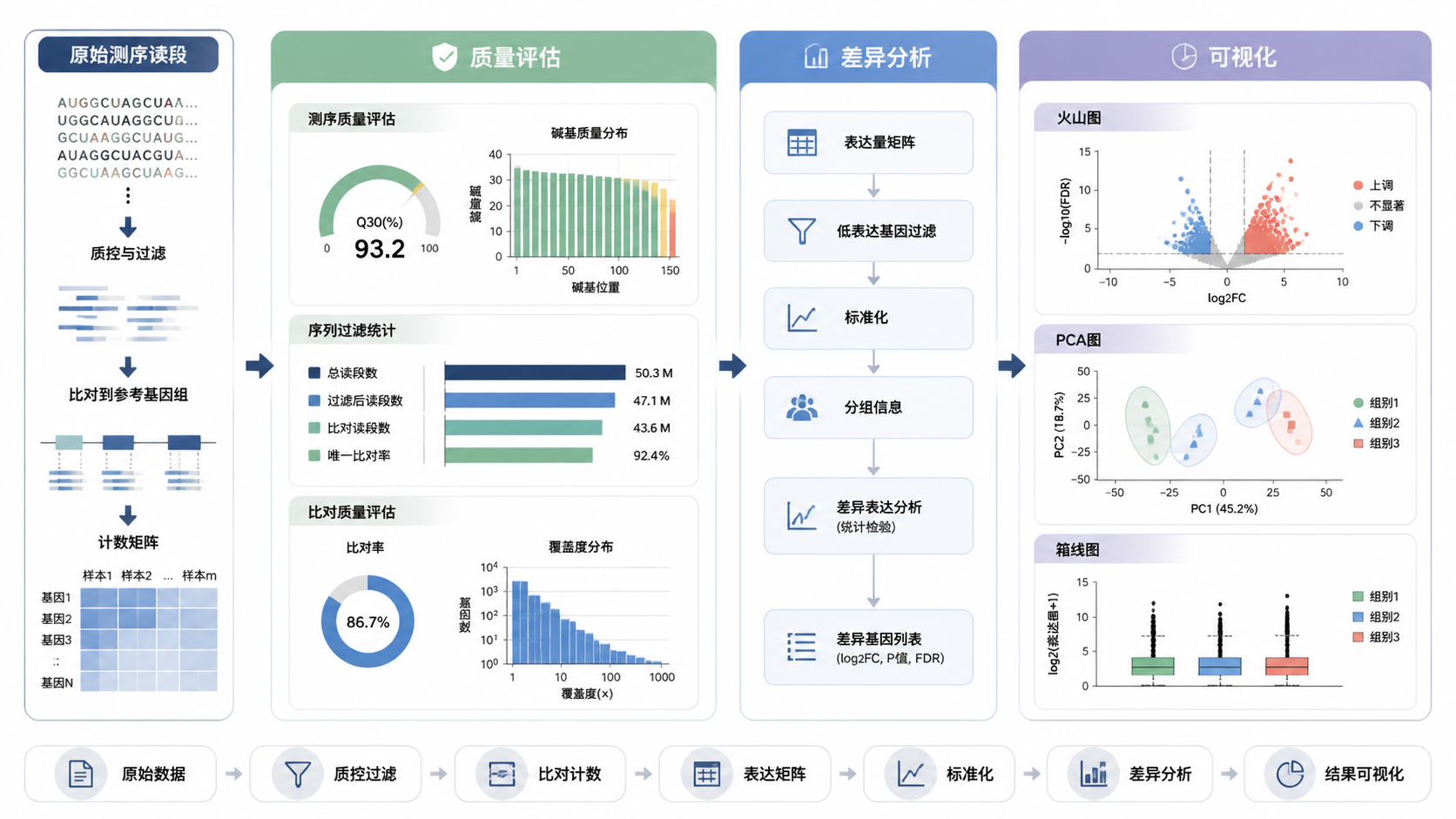 RNA-seq分析流程示意图，突出质量评估、差异分析和可视化三个环节，配上火山图、PCA图、箱线图缩略图