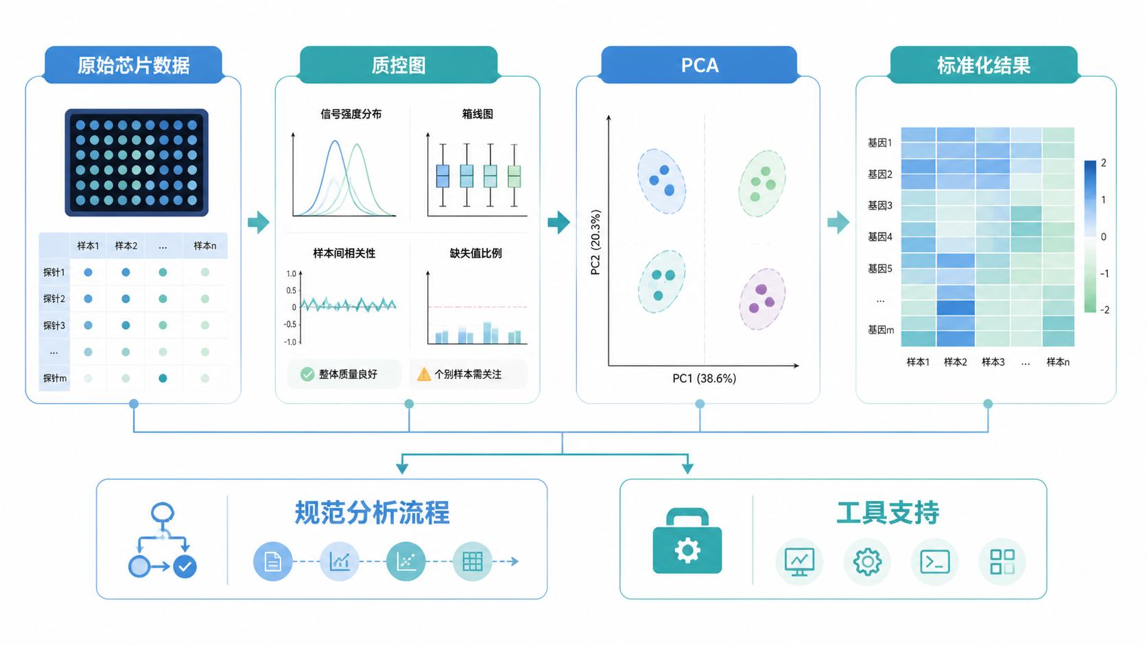 一张从原始芯片数据、质控图、PCA到标准化结果的流程图，最后落到“规范分析流程”和“工具支持”，体现解决方案闭环。