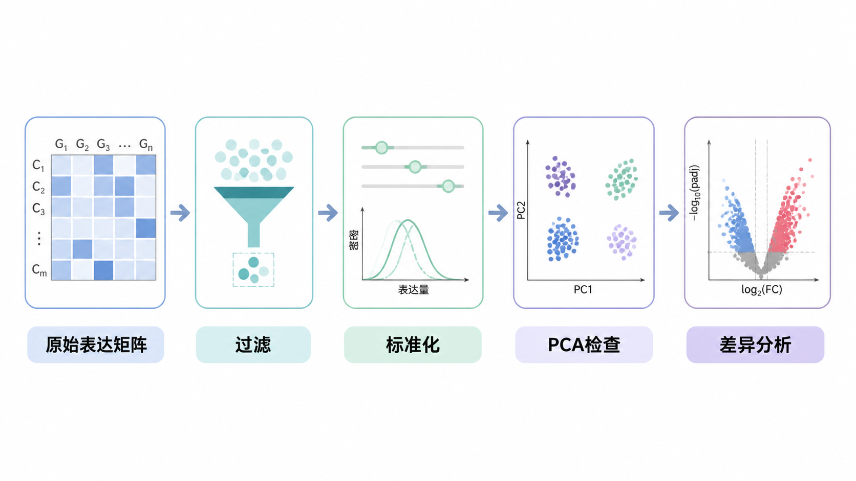 一张流程图，展示从原始表达矩阵、过滤、标准化、PCA检查到差异分析的完整分析链路