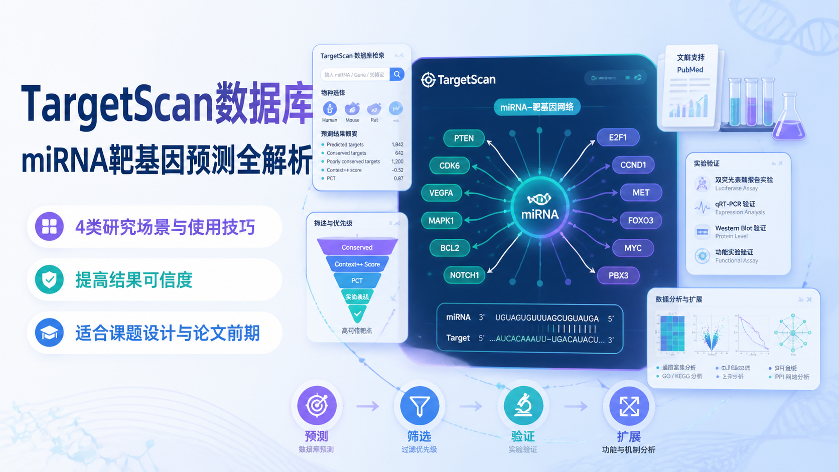 TargetScan数据库能做什么？4类研究场景揭秘