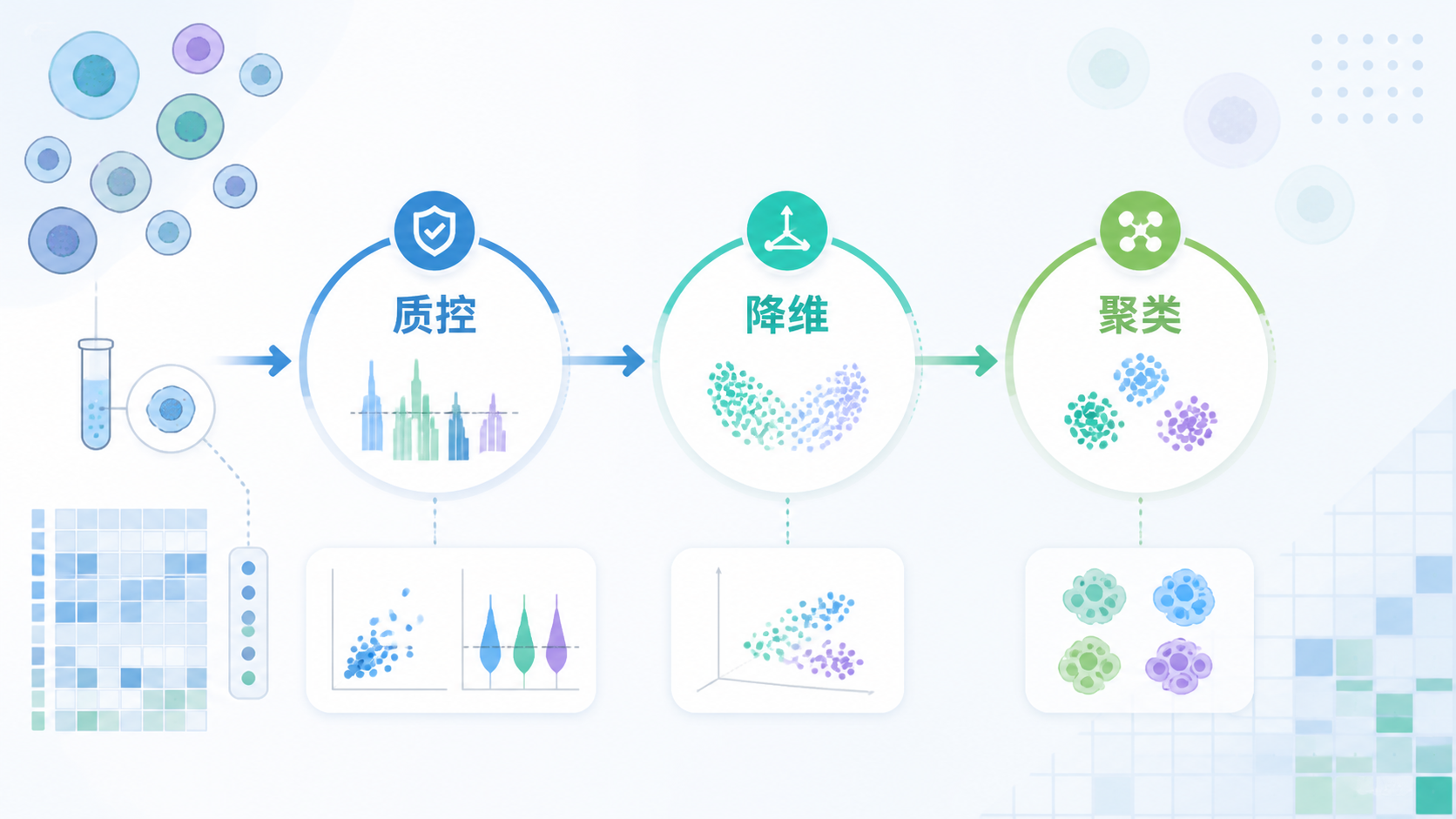 单细胞测序数据流程示意图，突出质控、降维、聚类三个节点，背景为细胞与测序矩阵的简洁科研风格插图