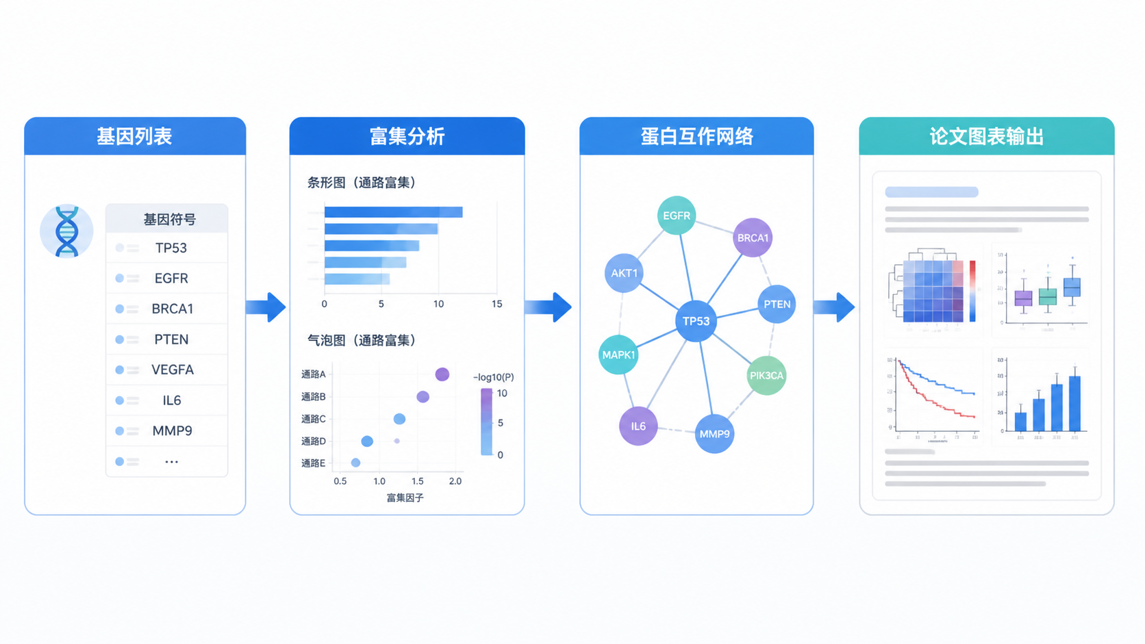 整洁的科研流程示意图，包含基因列表、富集分析、蛋白互作网络和论文图表输出