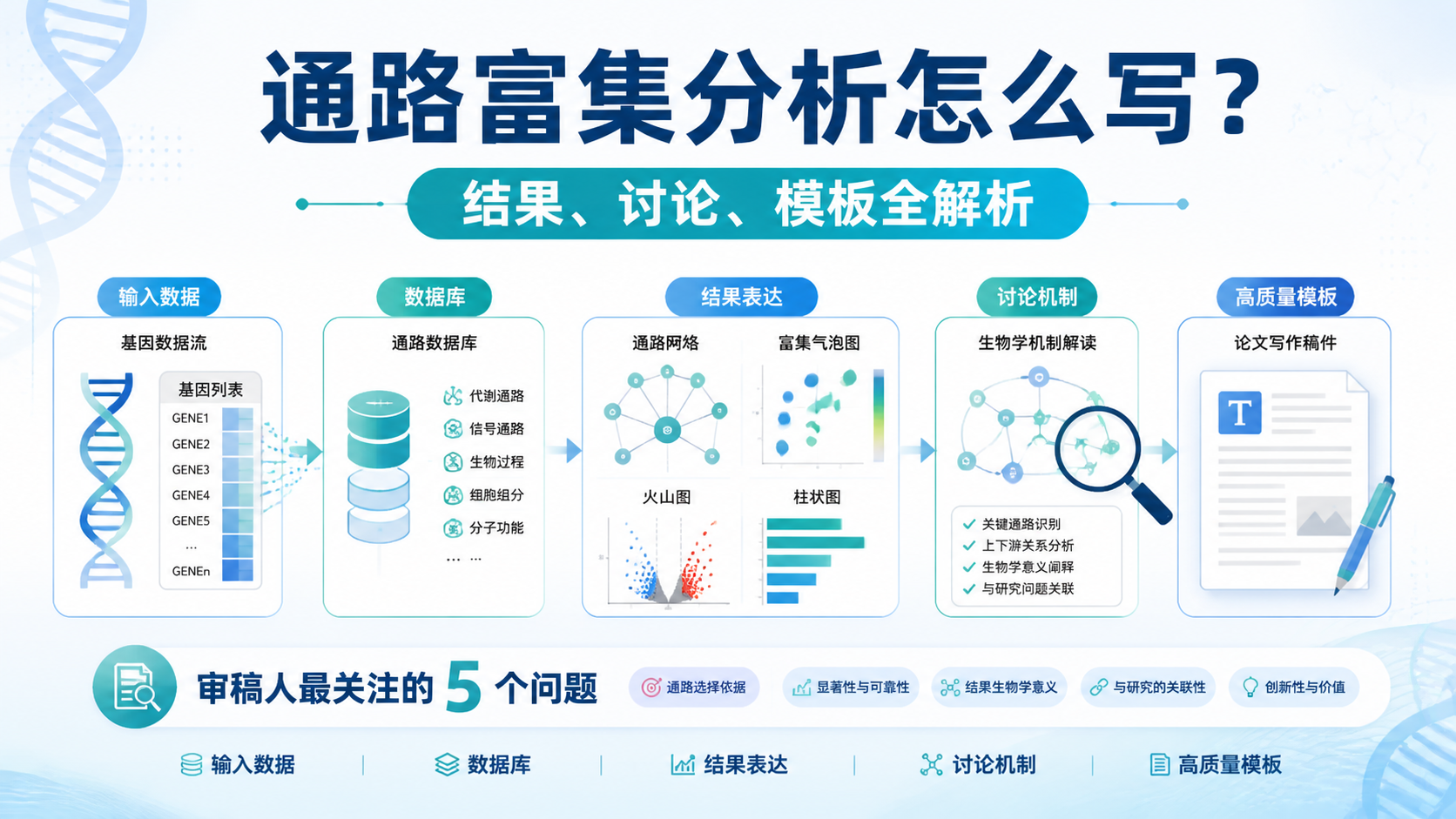 通路富集分析怎么写更专业？