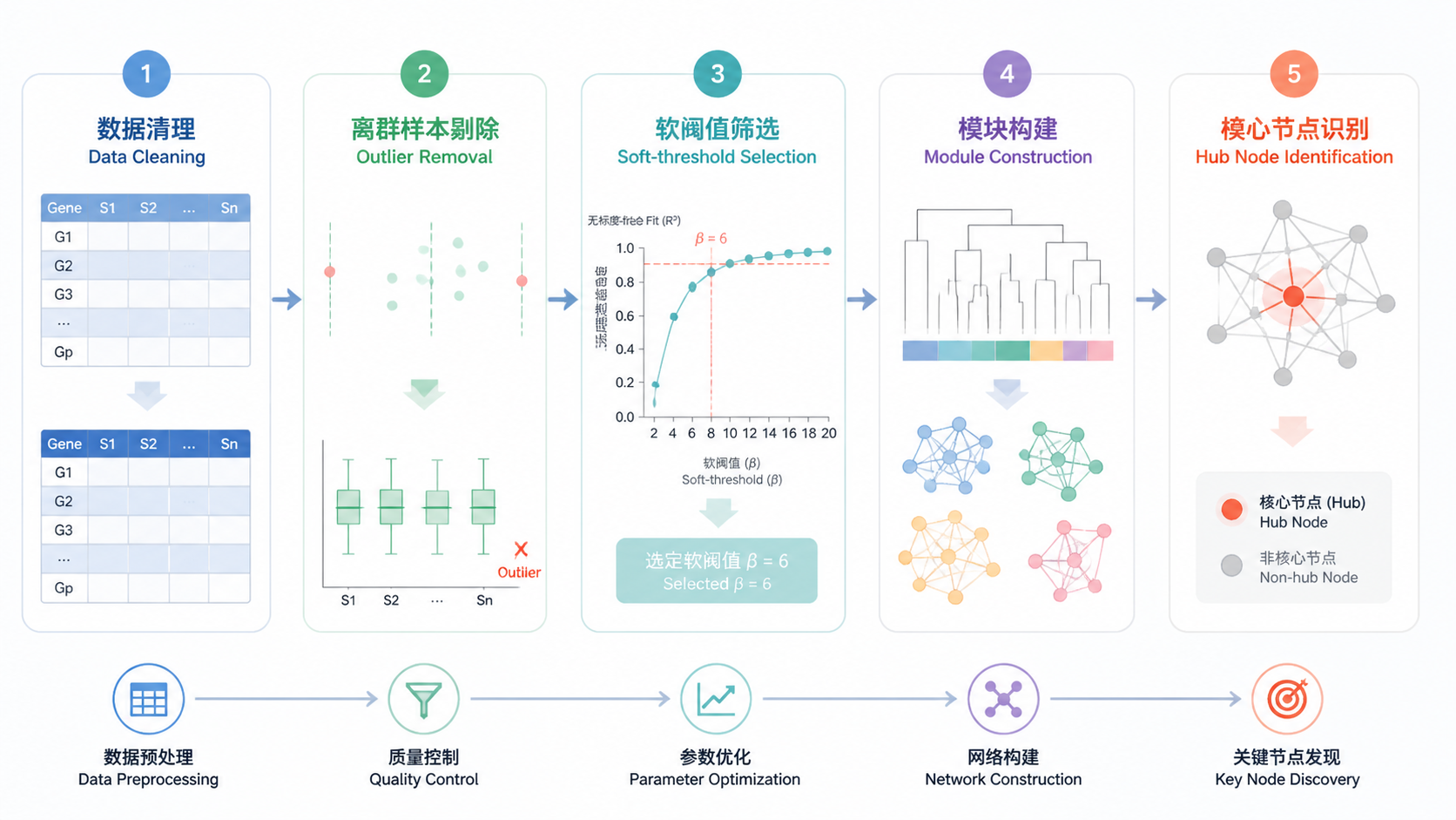 网络分析流程图，从数据清理、离群样本剔除、软阈值筛选到模块构建与核心节点识别的完整路径。