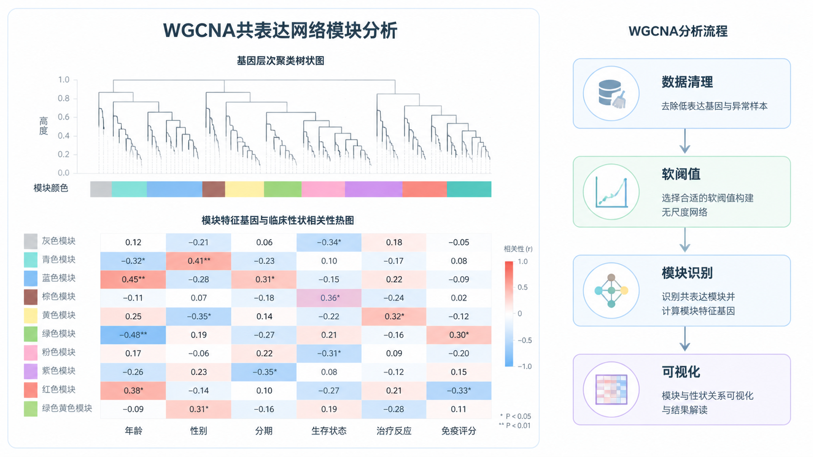 WGCNA共表达网络模块热图与树状图组合展示，旁边放置“数据清理-软阈值-模块识别-可视化”流程示意图