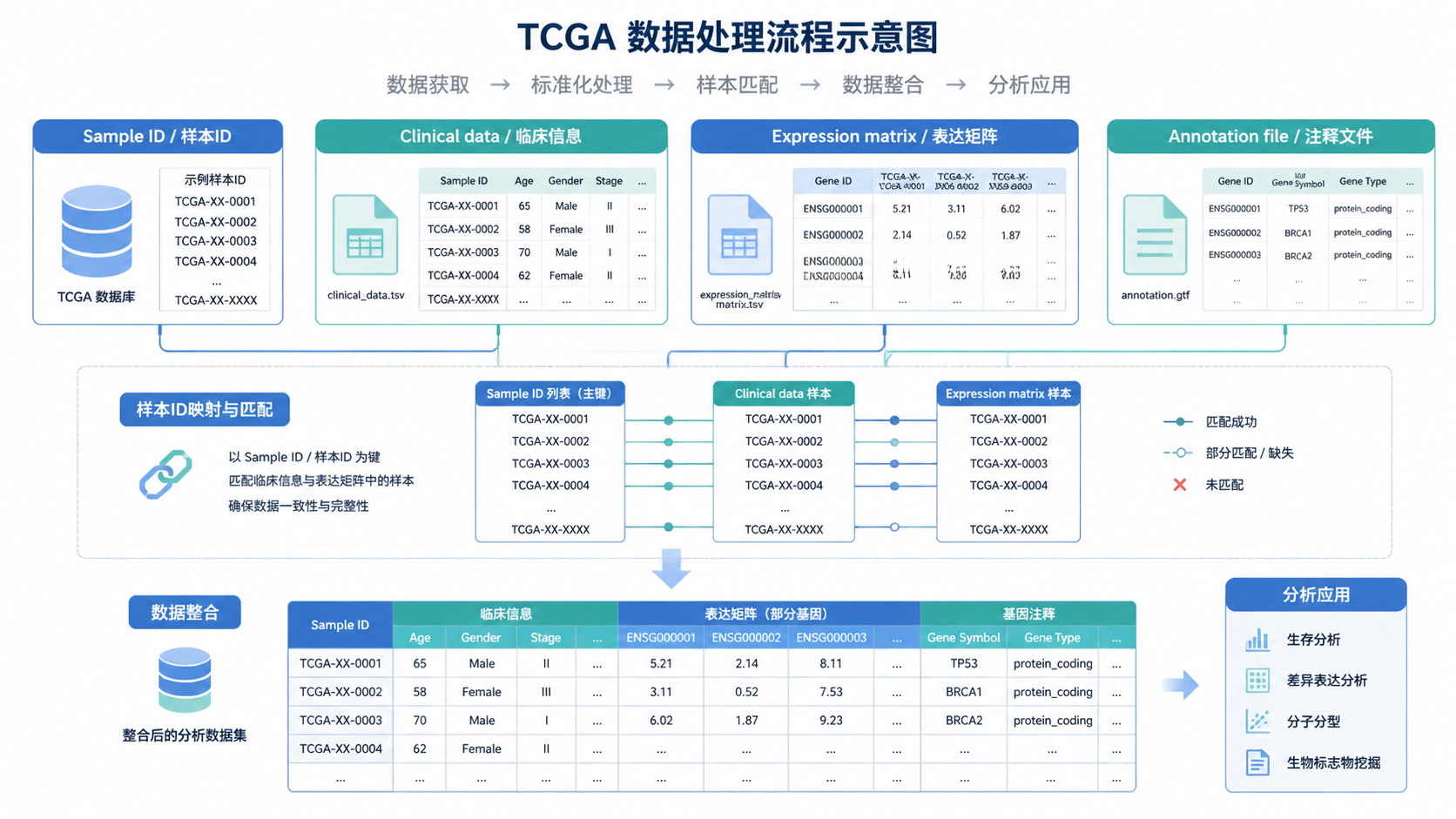 TCGA数据处理流程示意图，包含样本ID、临床信息、表达矩阵和注释文件的对应关系。