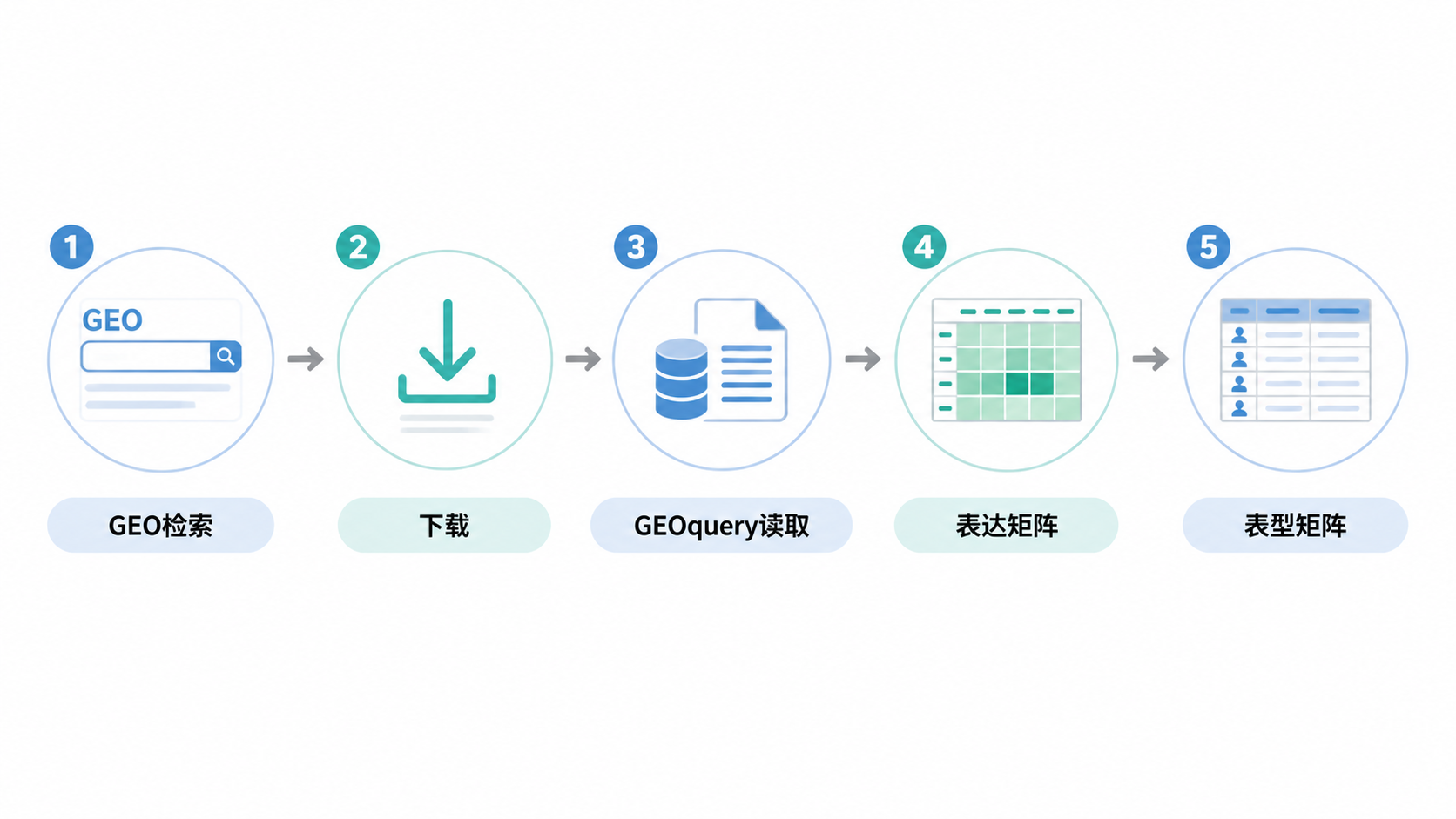 一张流程图式配图，展示GEO检索、下载、GEOquery读取、表达矩阵与表型矩阵整理的完整工作流