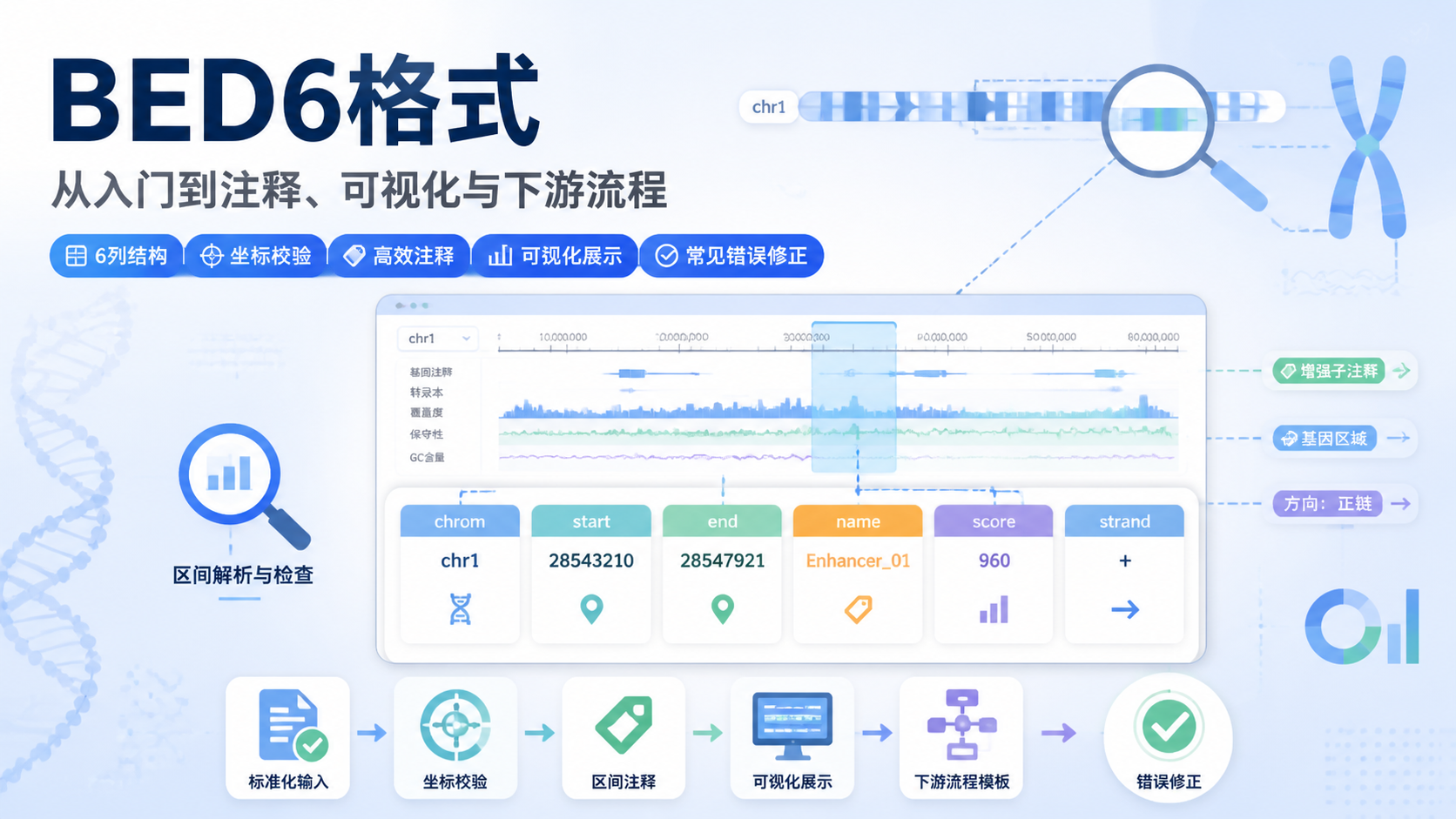 BED6格式应用：4种高效方法