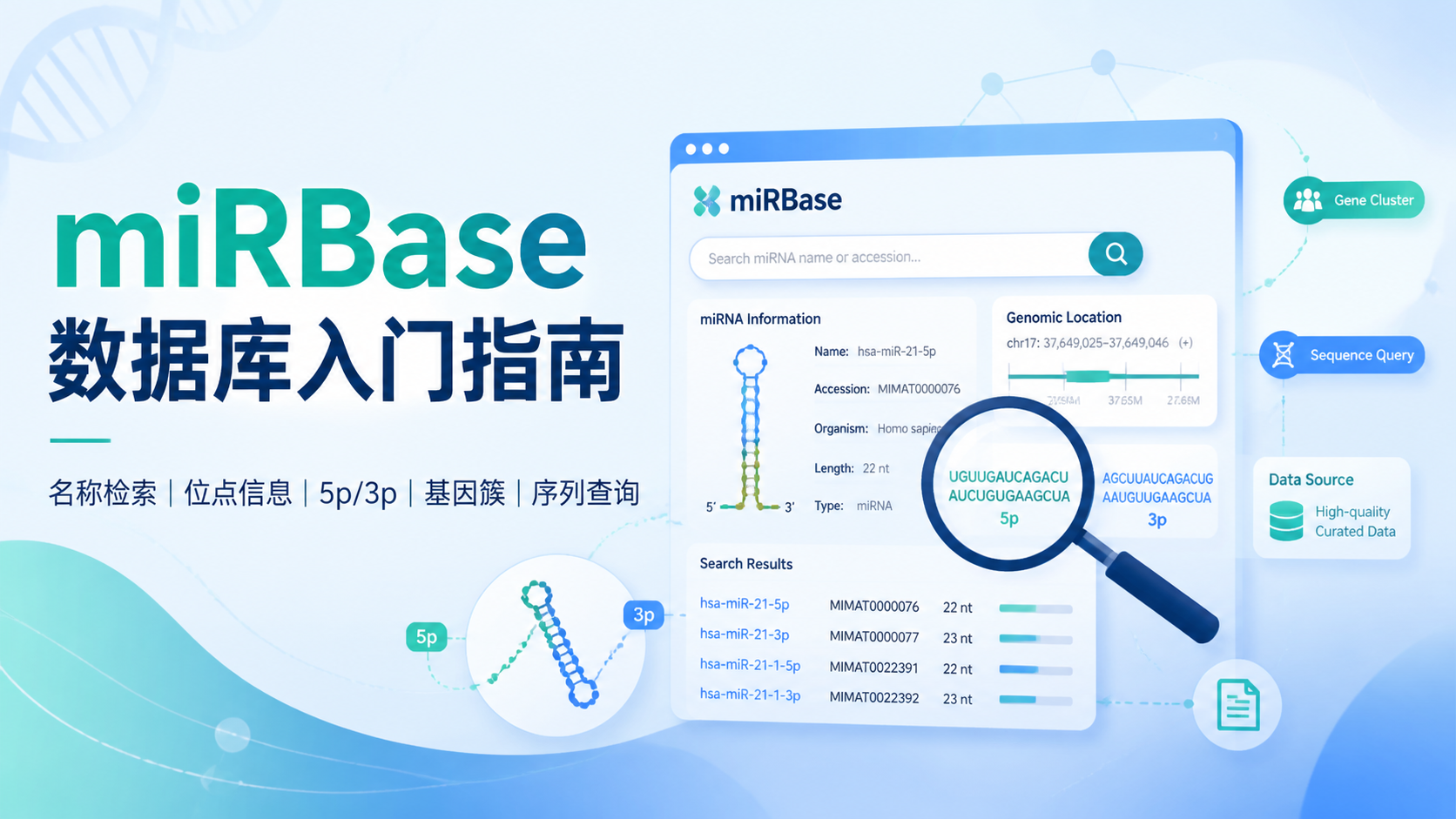 miRBase数据库入门：7个关键问题一次讲清