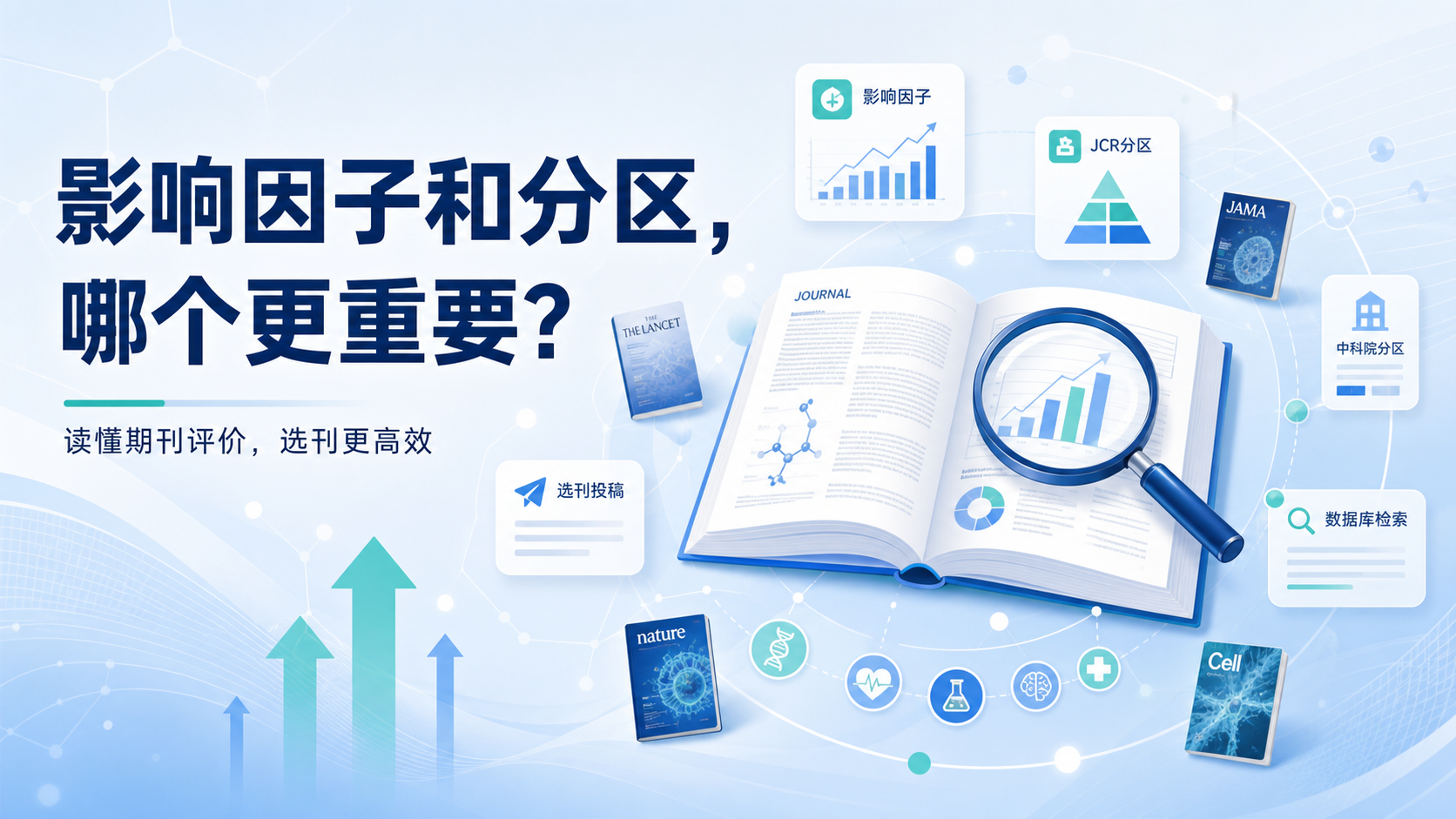 影响因子与分区关系的核心逻辑是什么？