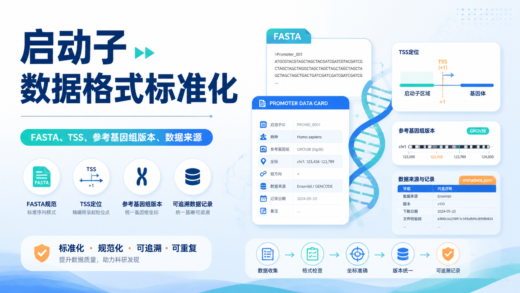 启动子数据格式怎么写才最规范？