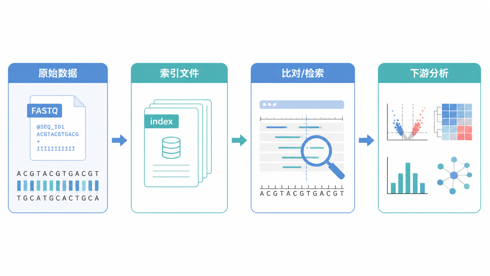 一张生信分析流程示意图，突出“原始数据—索引文件—比对/检索—下游分析”的链路，风格简洁专业