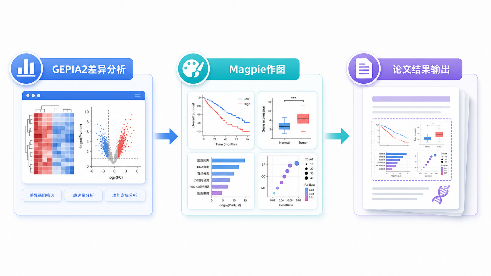 一张科研工作流插图,展示“GEPIA2差异分析→Magpie作图→论文结果输出”的流程链条。