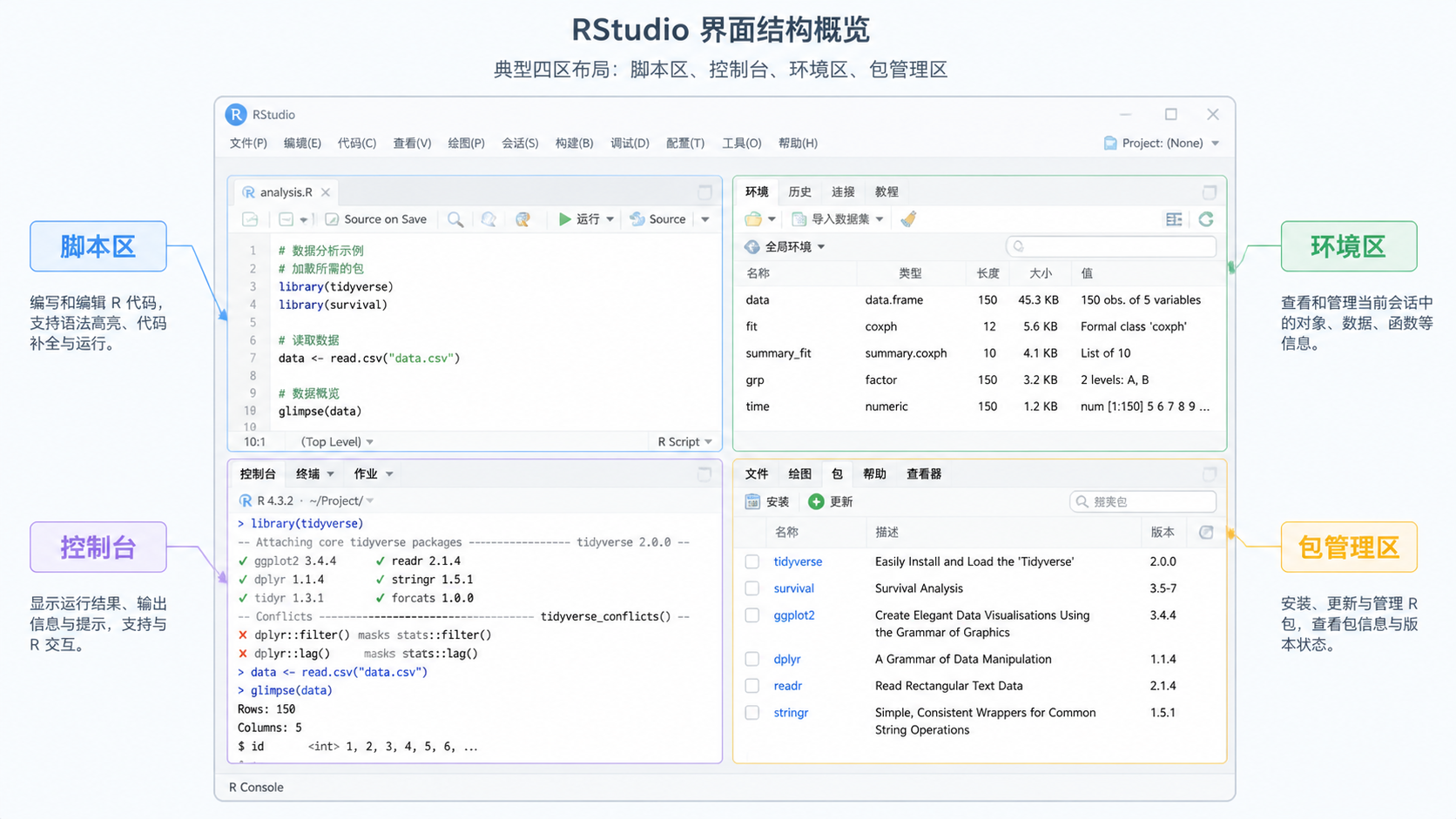 一张RStudio界面示意图，标出控制台、脚本区、环境区和包管理区，适合用于说明环境配置的整体结构