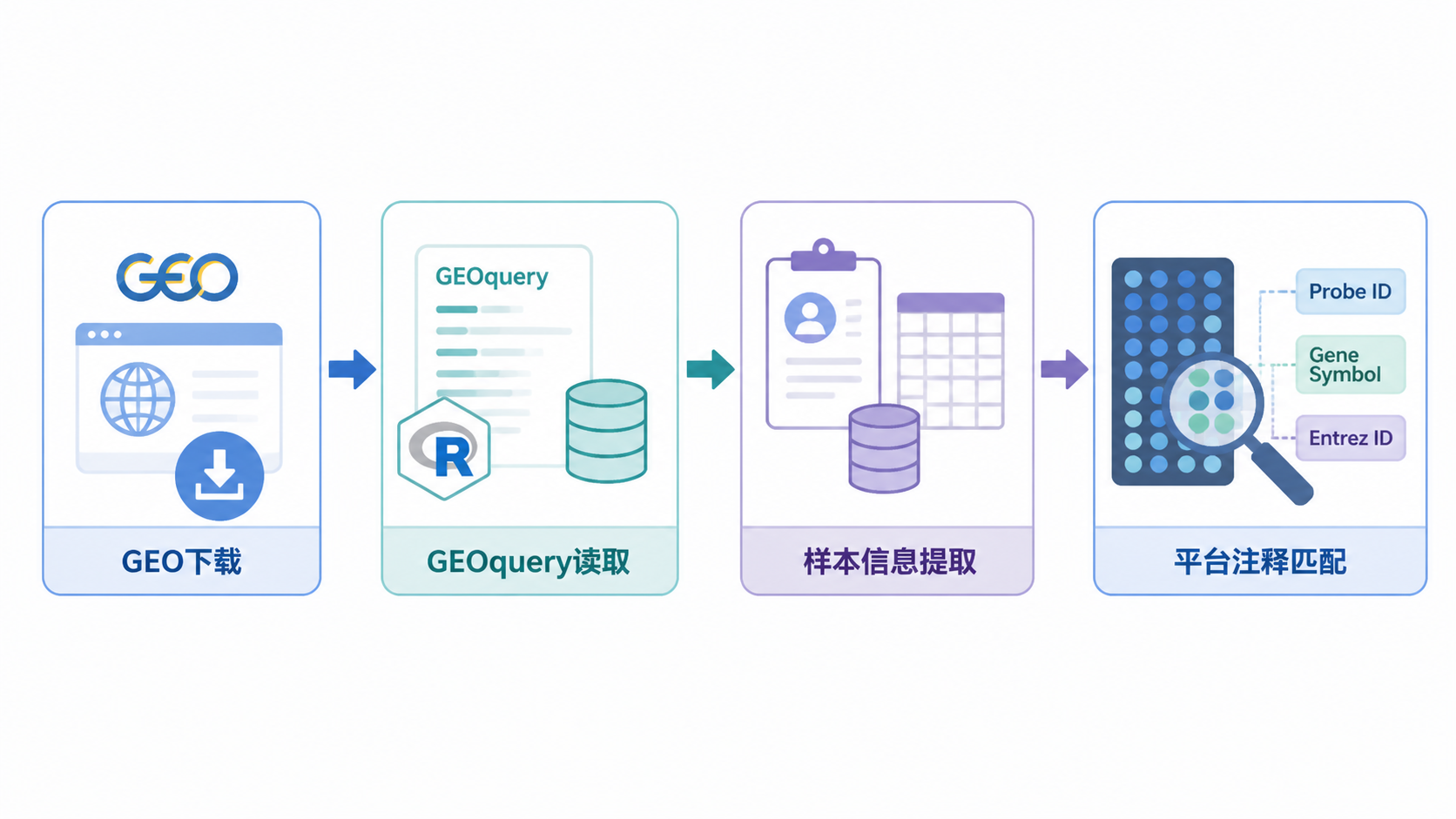 一张GEO芯片数据处理流程图，从GEO下载、GEOquery读取、样本信息提取到平台注释匹配的完整工作流示意