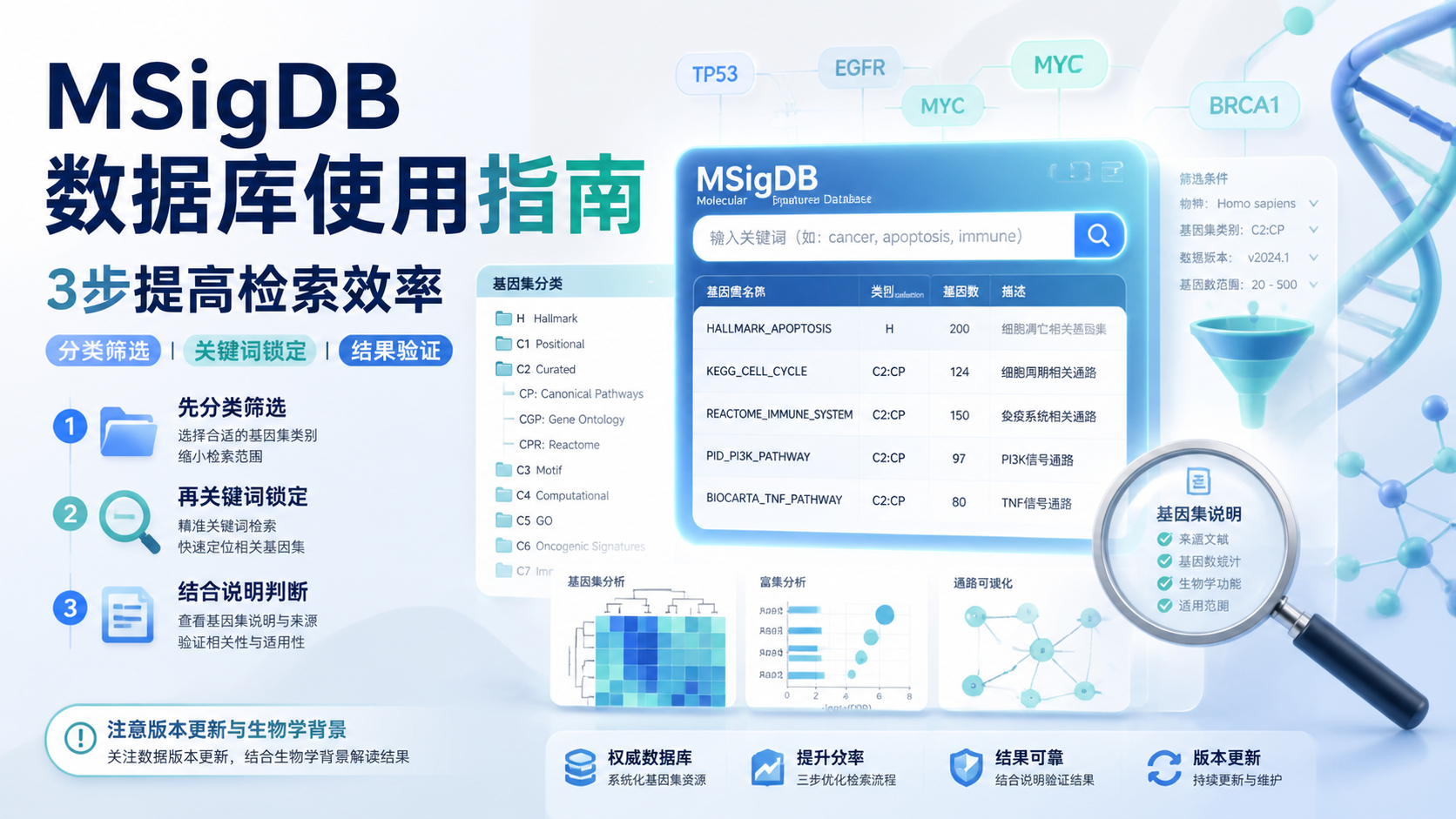 msigdb数据库怎么用？3步掌握高效检索