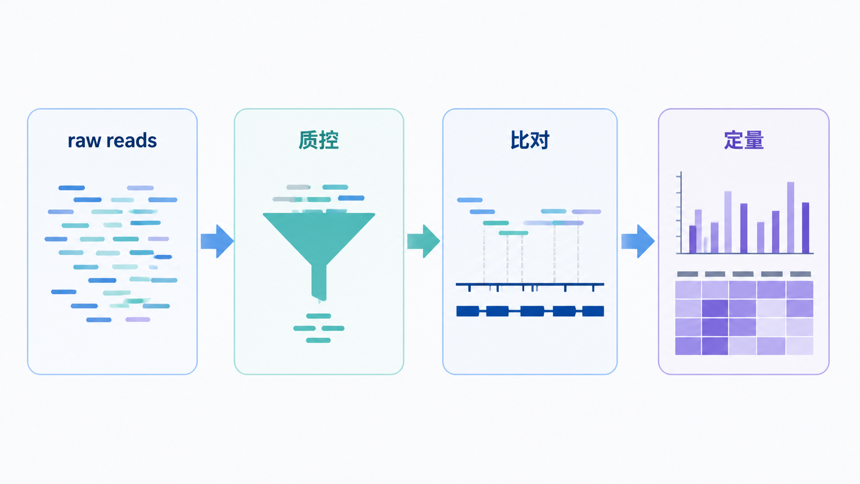 测序数据分析流程示意图，突出rawreads、质控、比对和定量四个环节