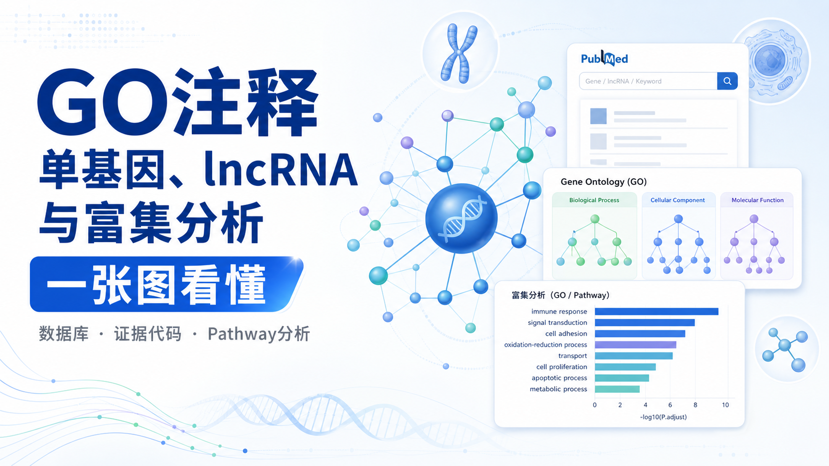GO注释在生物医学研究中的应用与解析